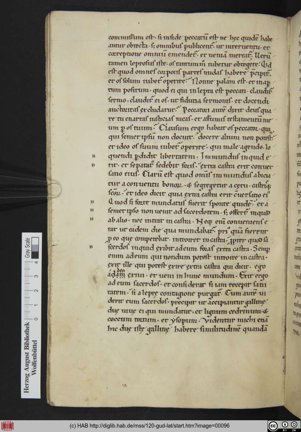 http://diglib.hab.de/mss/120-gud-lat/00096.jpg