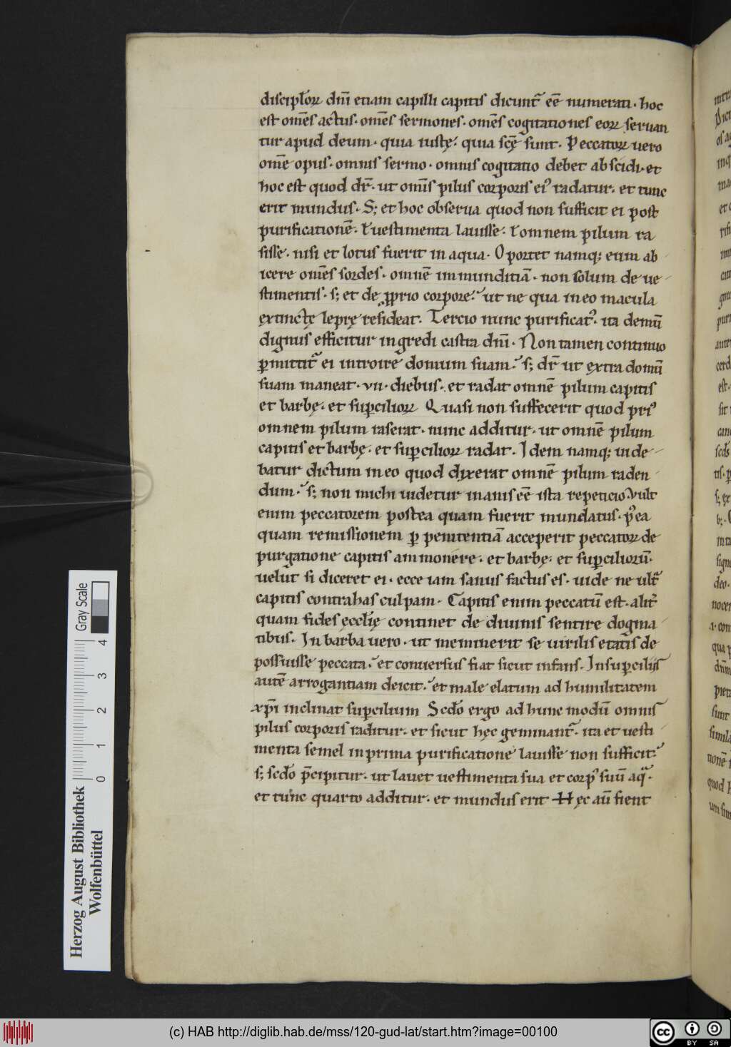 http://diglib.hab.de/mss/120-gud-lat/00100.jpg