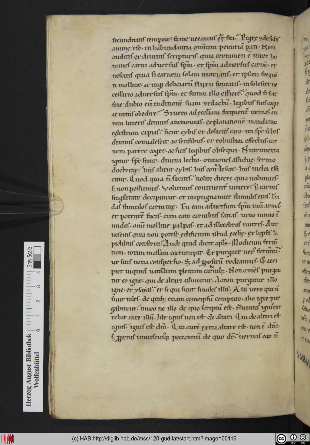 http://diglib.hab.de/mss/120-gud-lat/00116.jpg