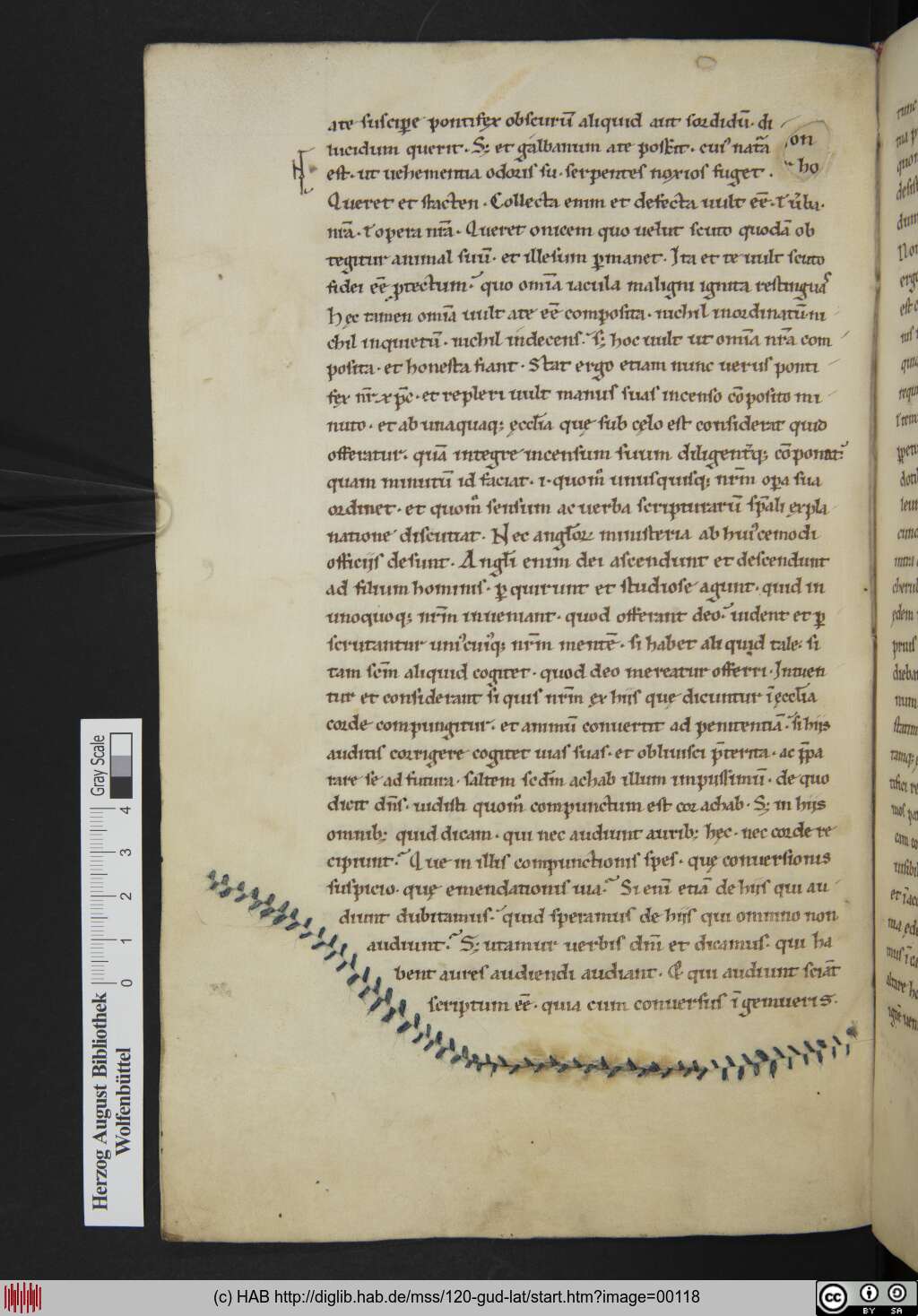 http://diglib.hab.de/mss/120-gud-lat/00118.jpg