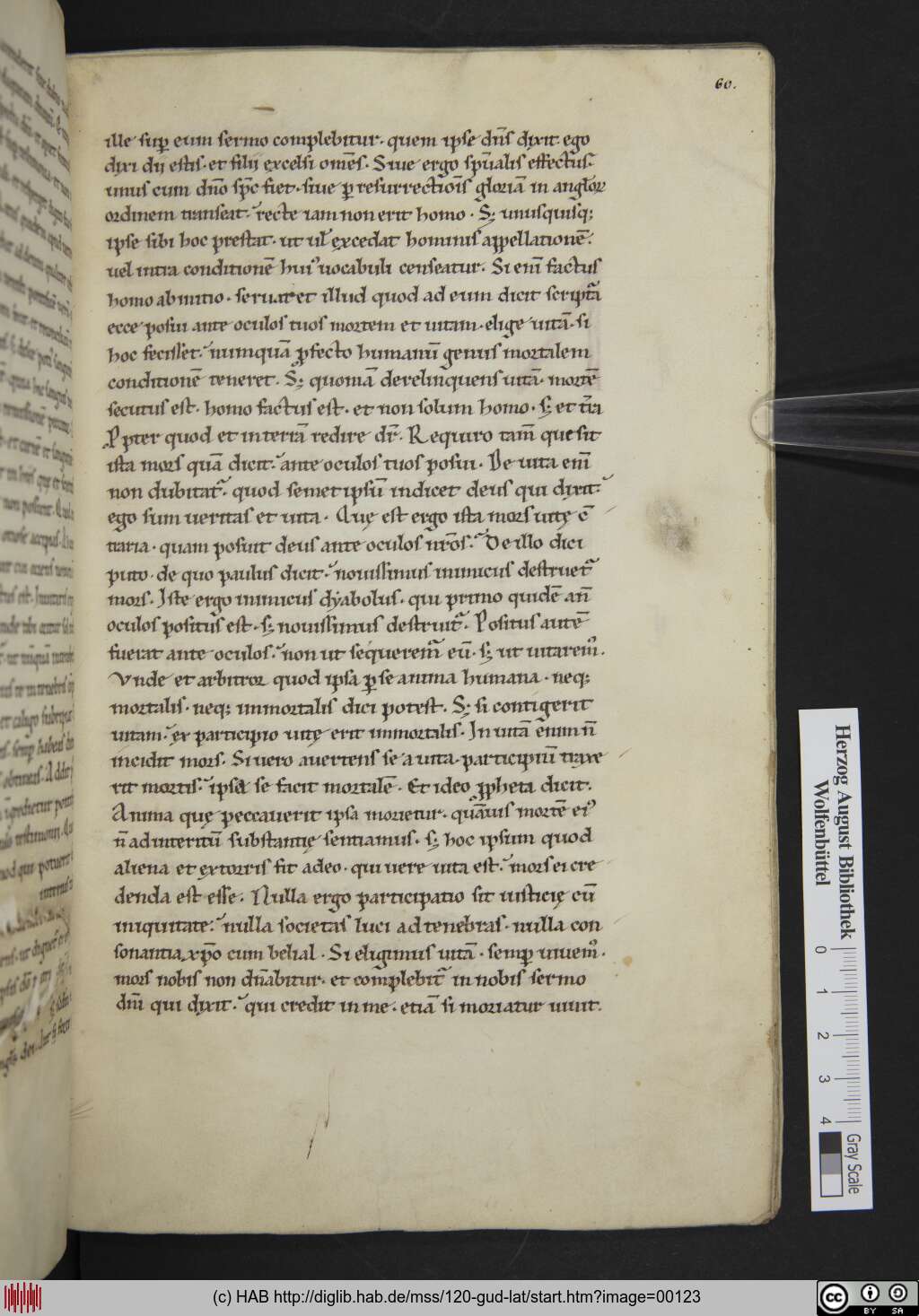 http://diglib.hab.de/mss/120-gud-lat/00123.jpg