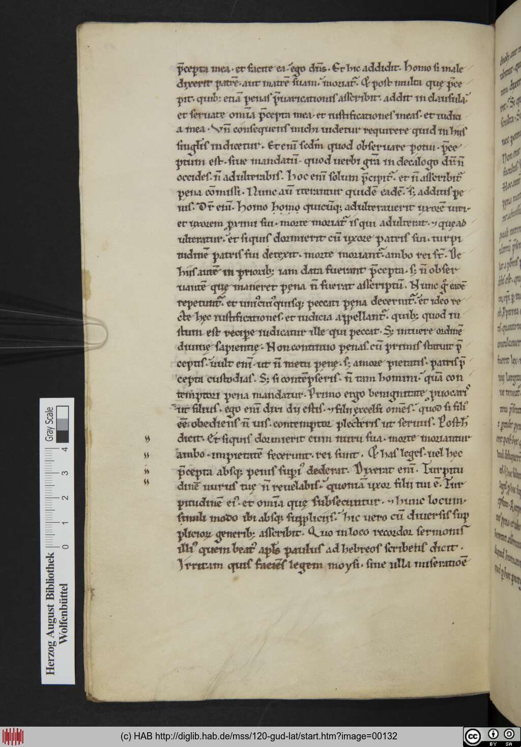 http://diglib.hab.de/mss/120-gud-lat/00132.jpg