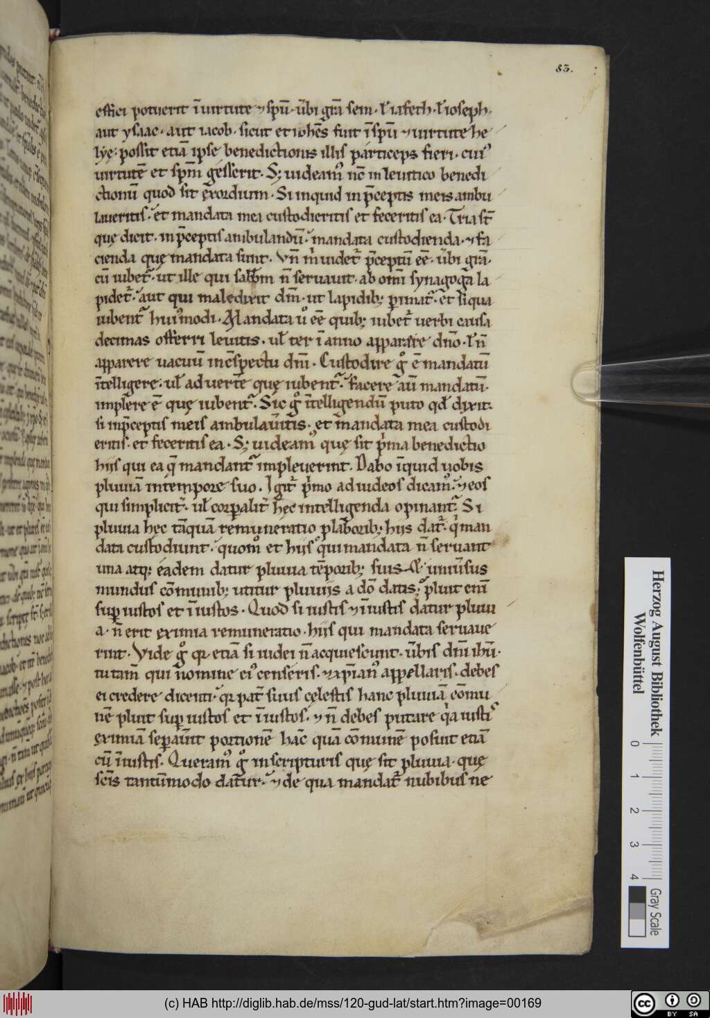 http://diglib.hab.de/mss/120-gud-lat/00169.jpg