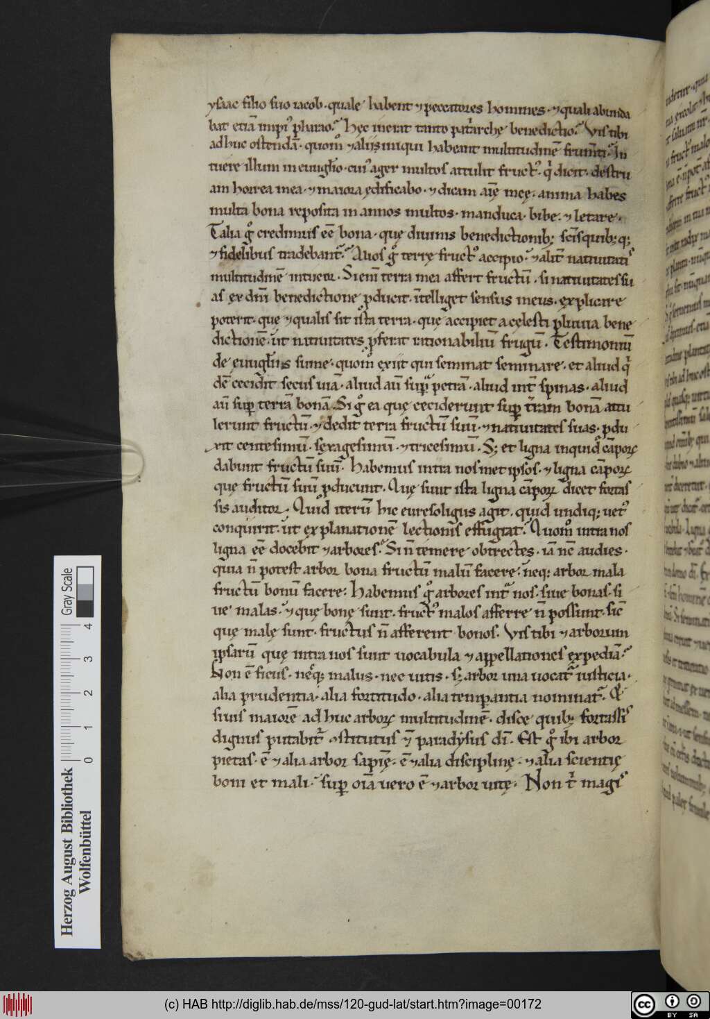 http://diglib.hab.de/mss/120-gud-lat/00172.jpg