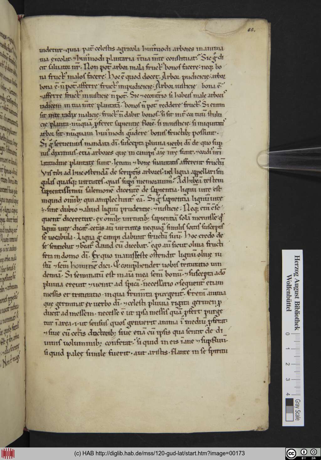 http://diglib.hab.de/mss/120-gud-lat/00173.jpg