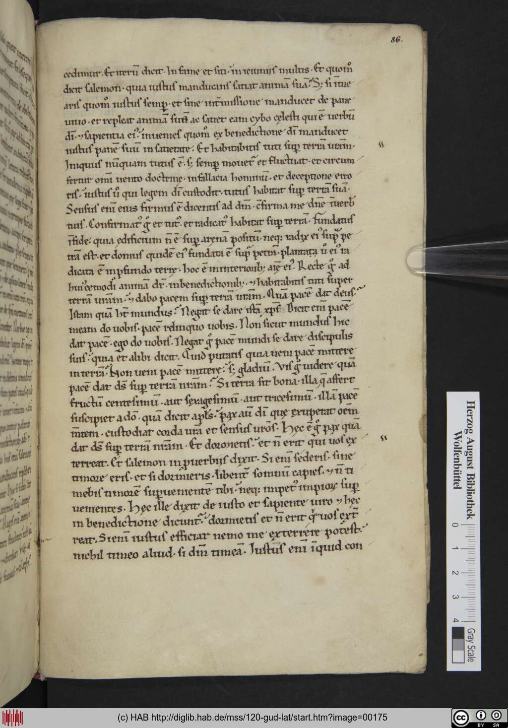 http://diglib.hab.de/mss/120-gud-lat/00175.jpg