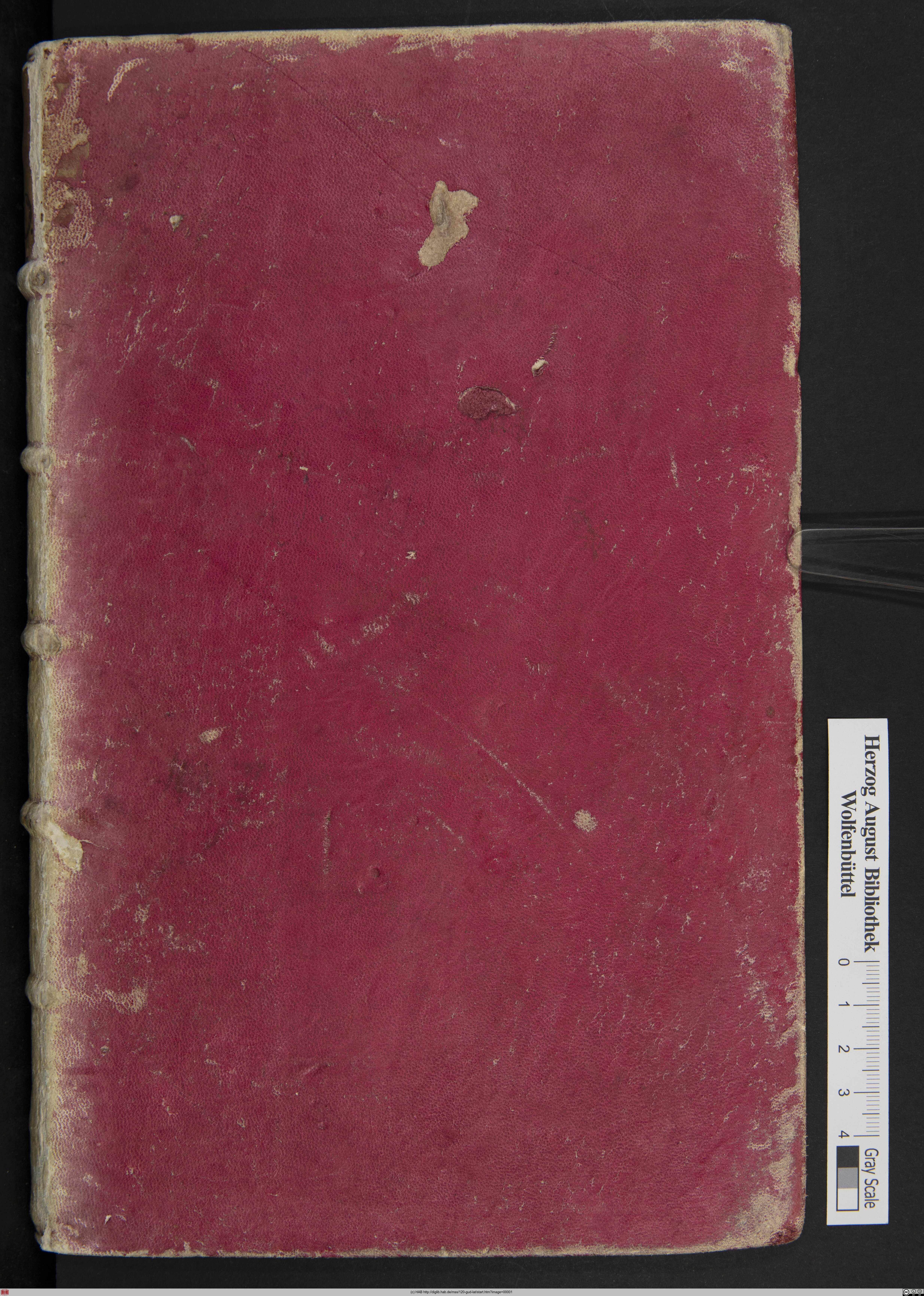 http://diglib.hab.de/mss/120-gud-lat/max/00001.jpg
