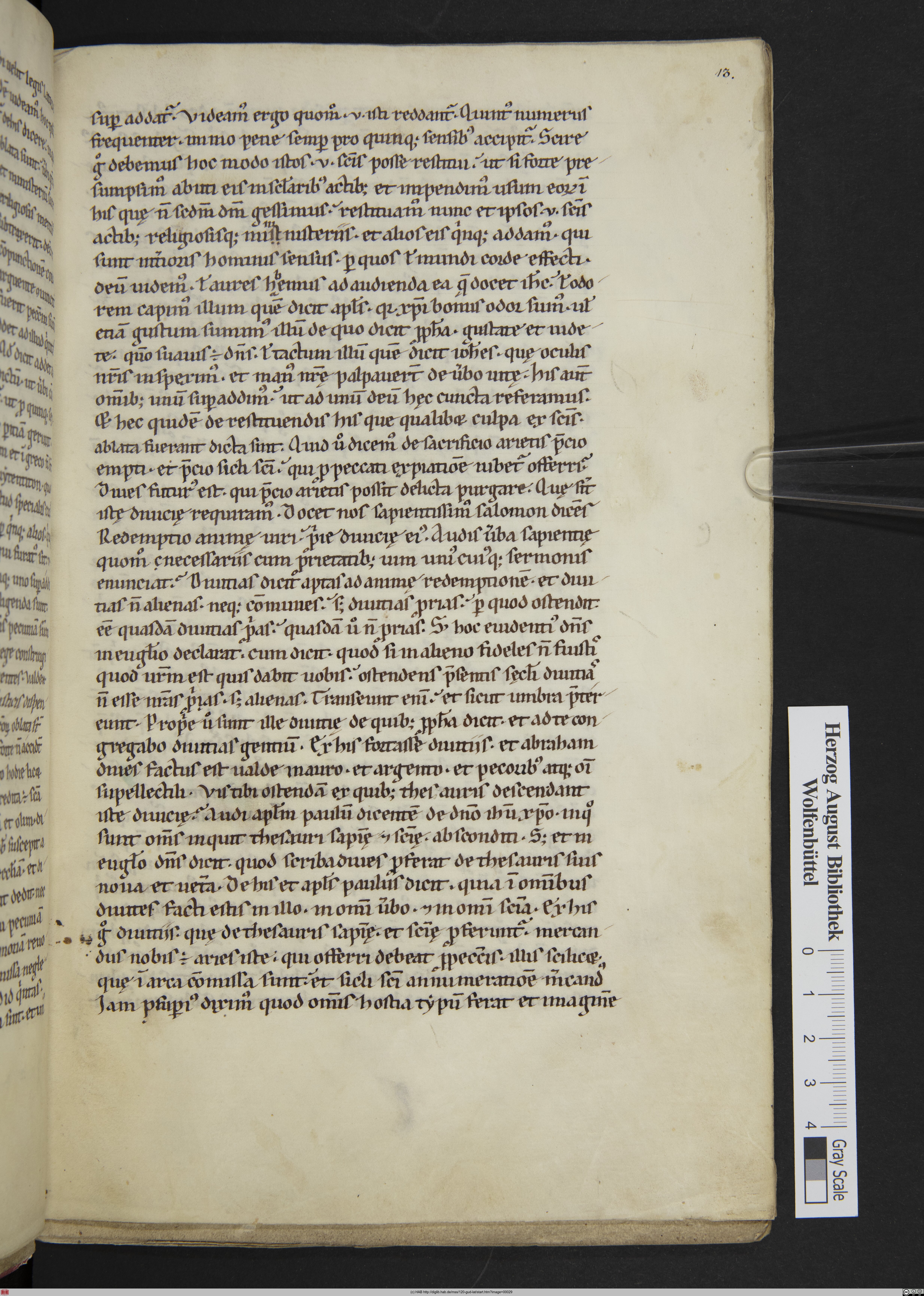http://diglib.hab.de/mss/120-gud-lat/max/00029.jpg