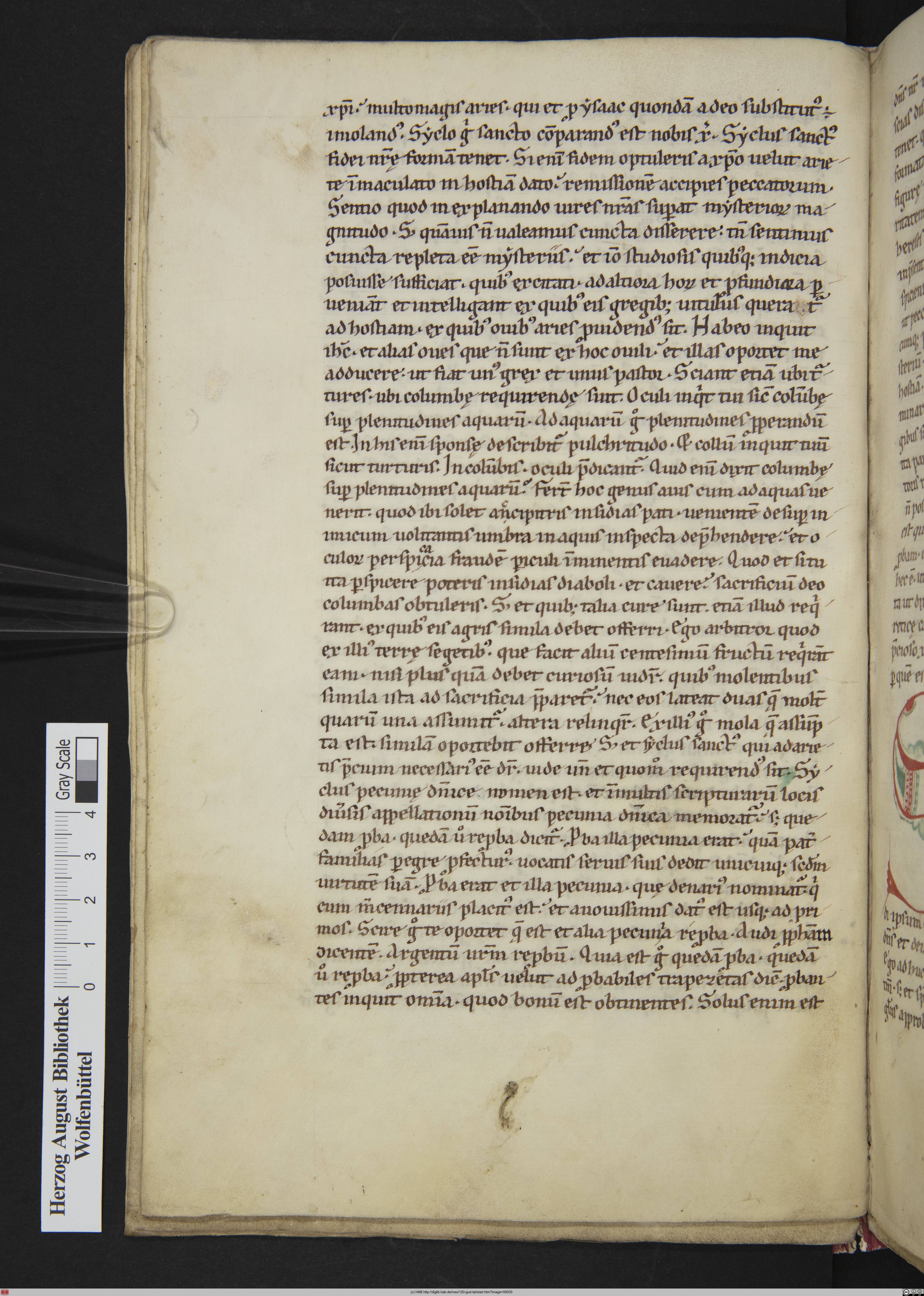 http://diglib.hab.de/mss/120-gud-lat/max/00030.jpg