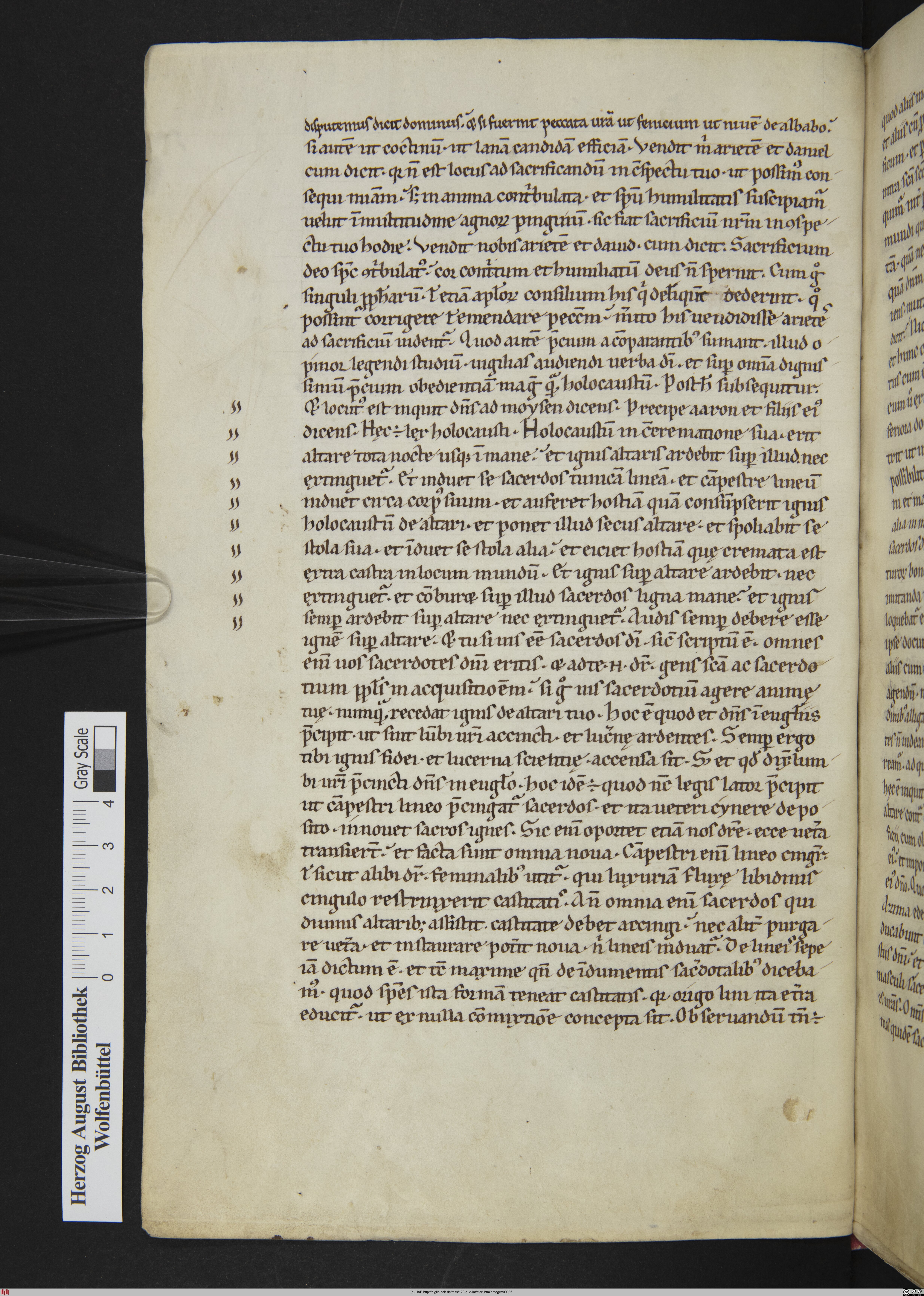 http://diglib.hab.de/mss/120-gud-lat/max/00036.jpg