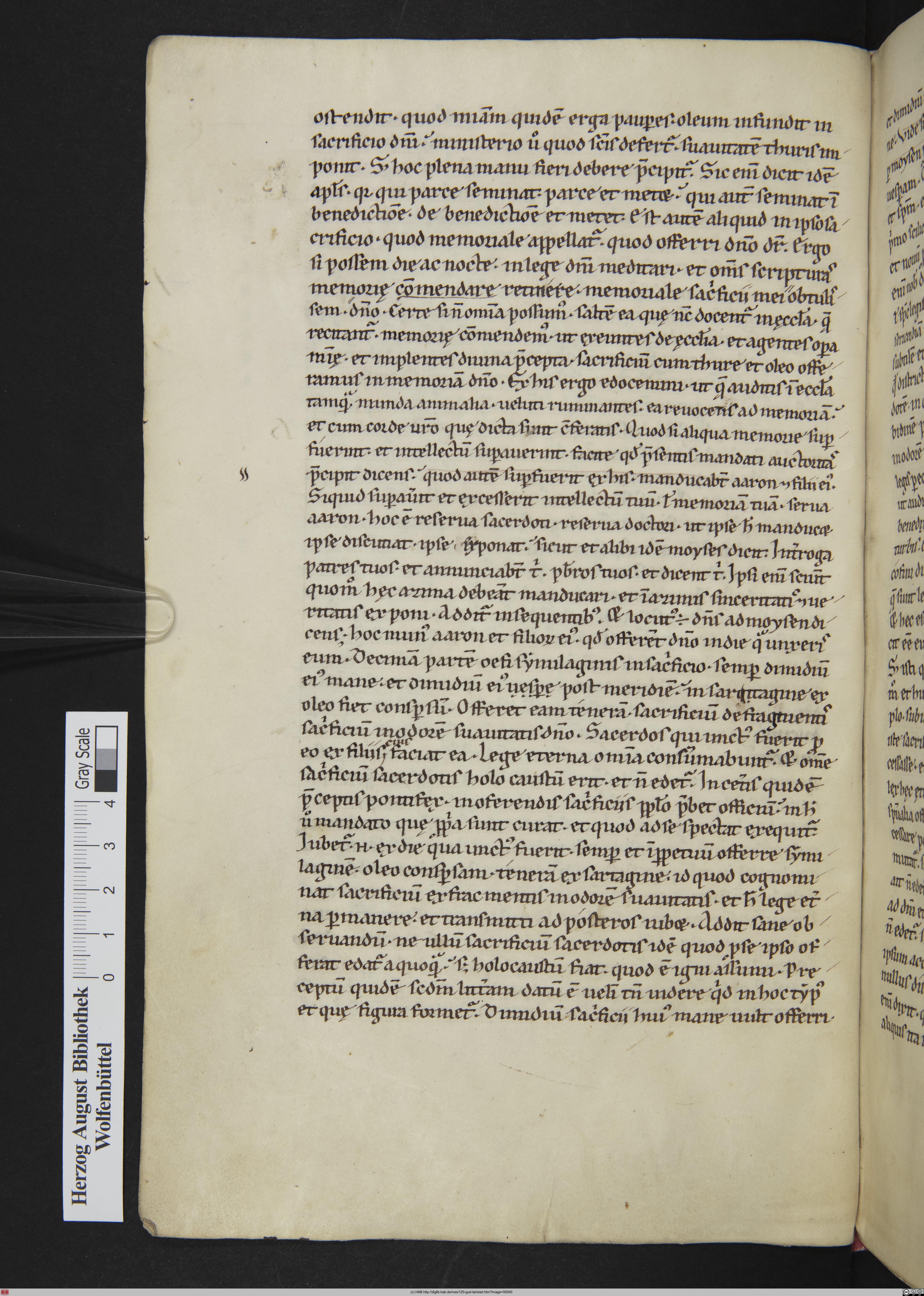 http://diglib.hab.de/mss/120-gud-lat/max/00040.jpg