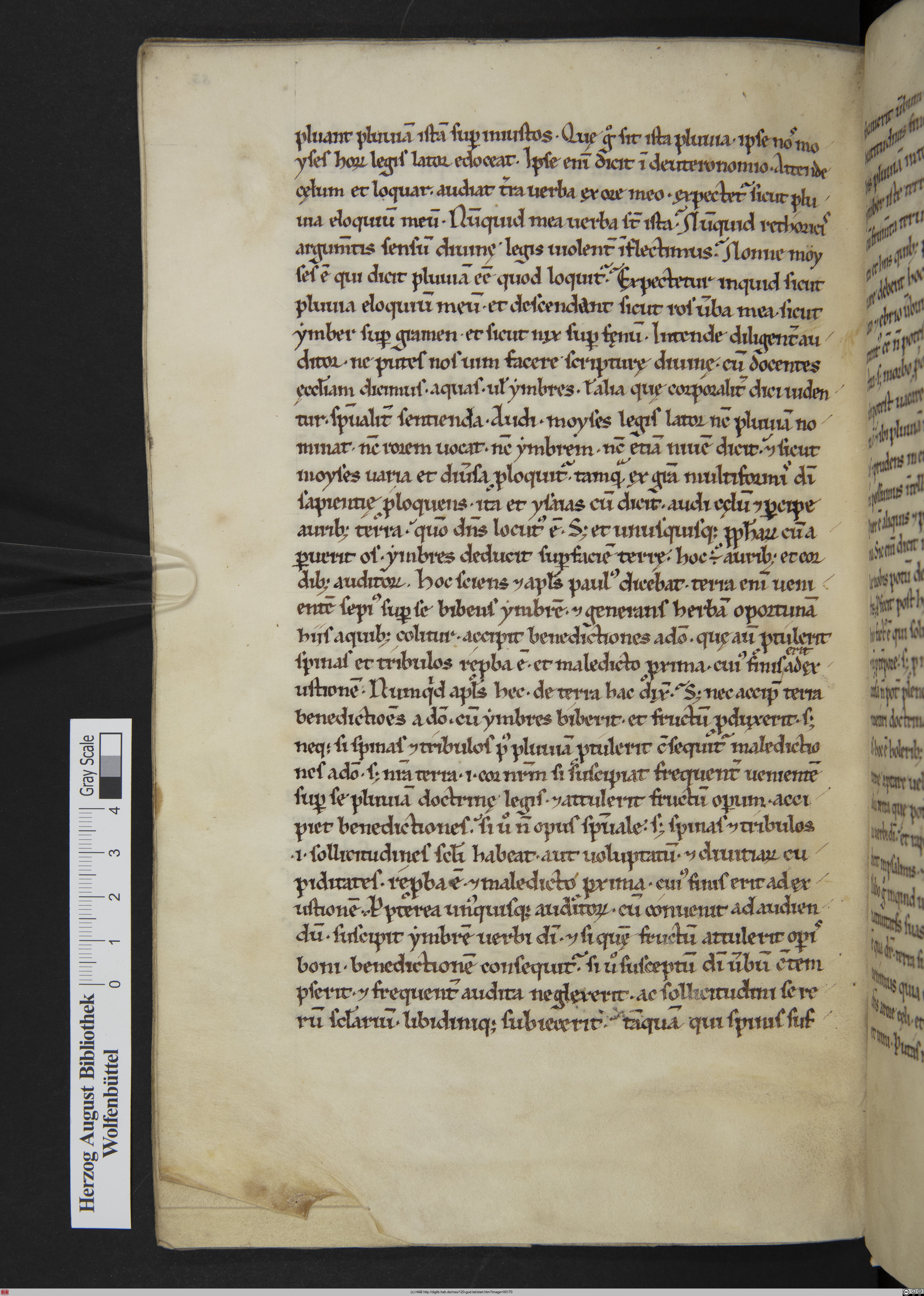 http://diglib.hab.de/mss/120-gud-lat/max/00170.jpg