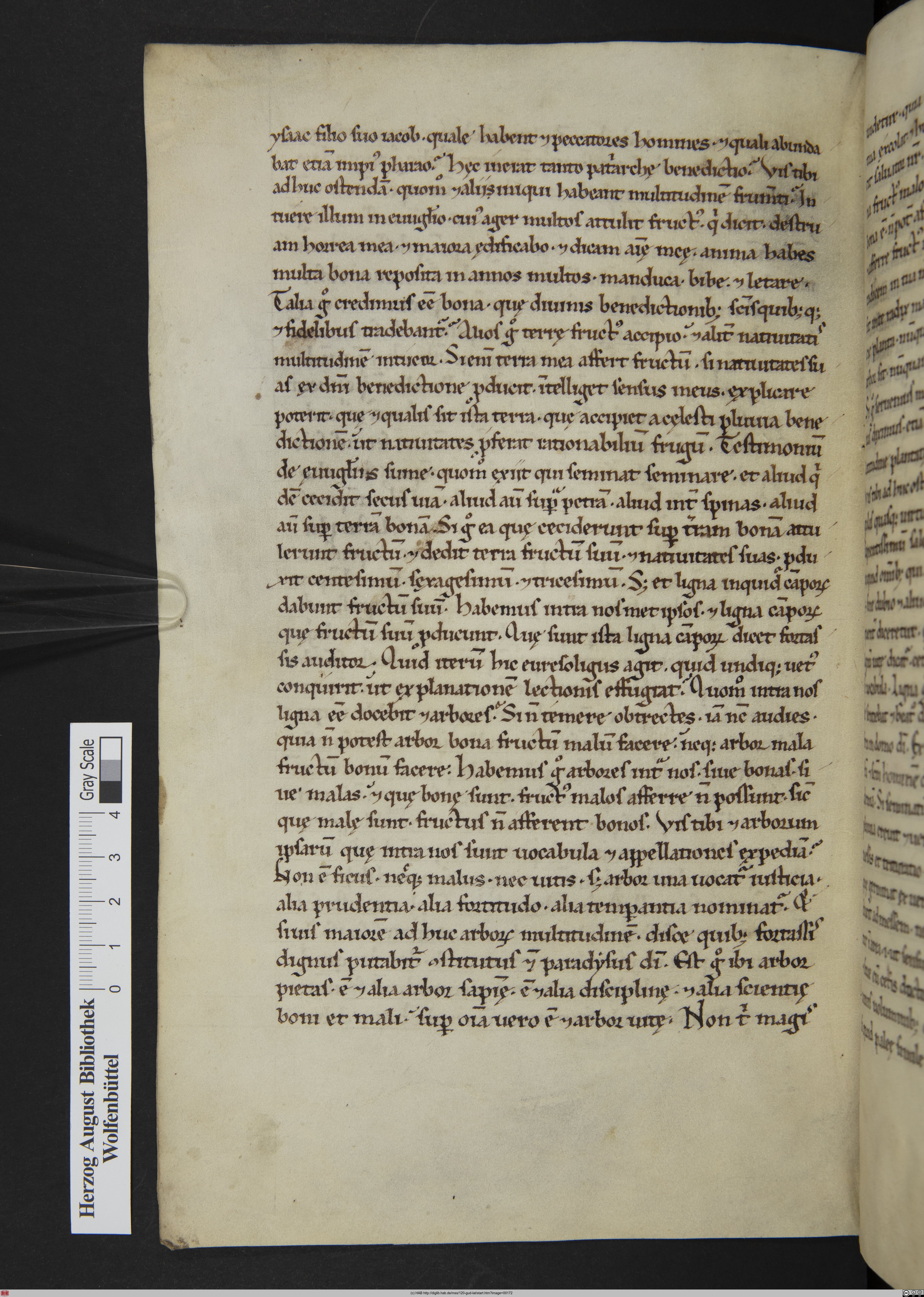 http://diglib.hab.de/mss/120-gud-lat/max/00172.jpg