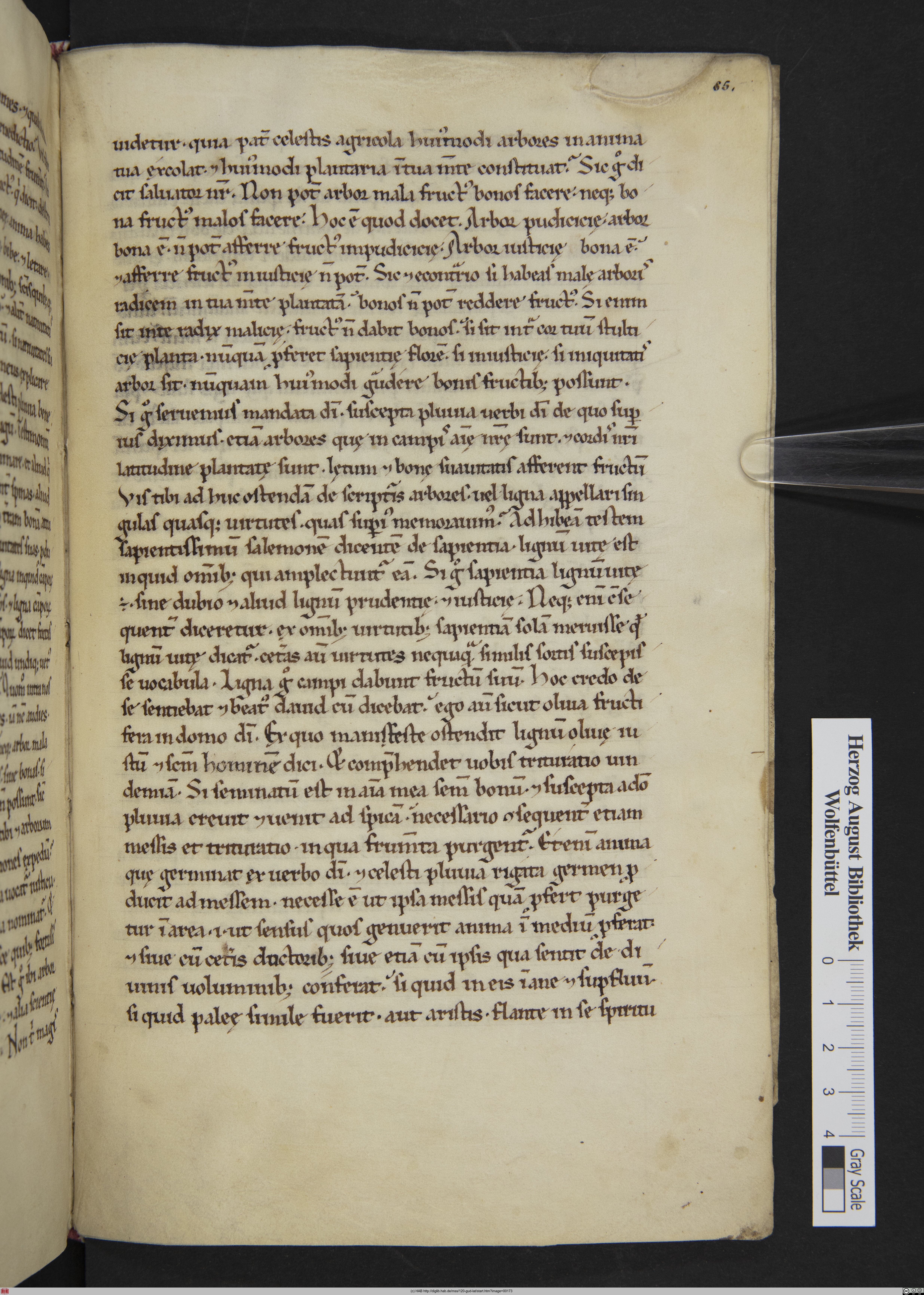 http://diglib.hab.de/mss/120-gud-lat/max/00173.jpg