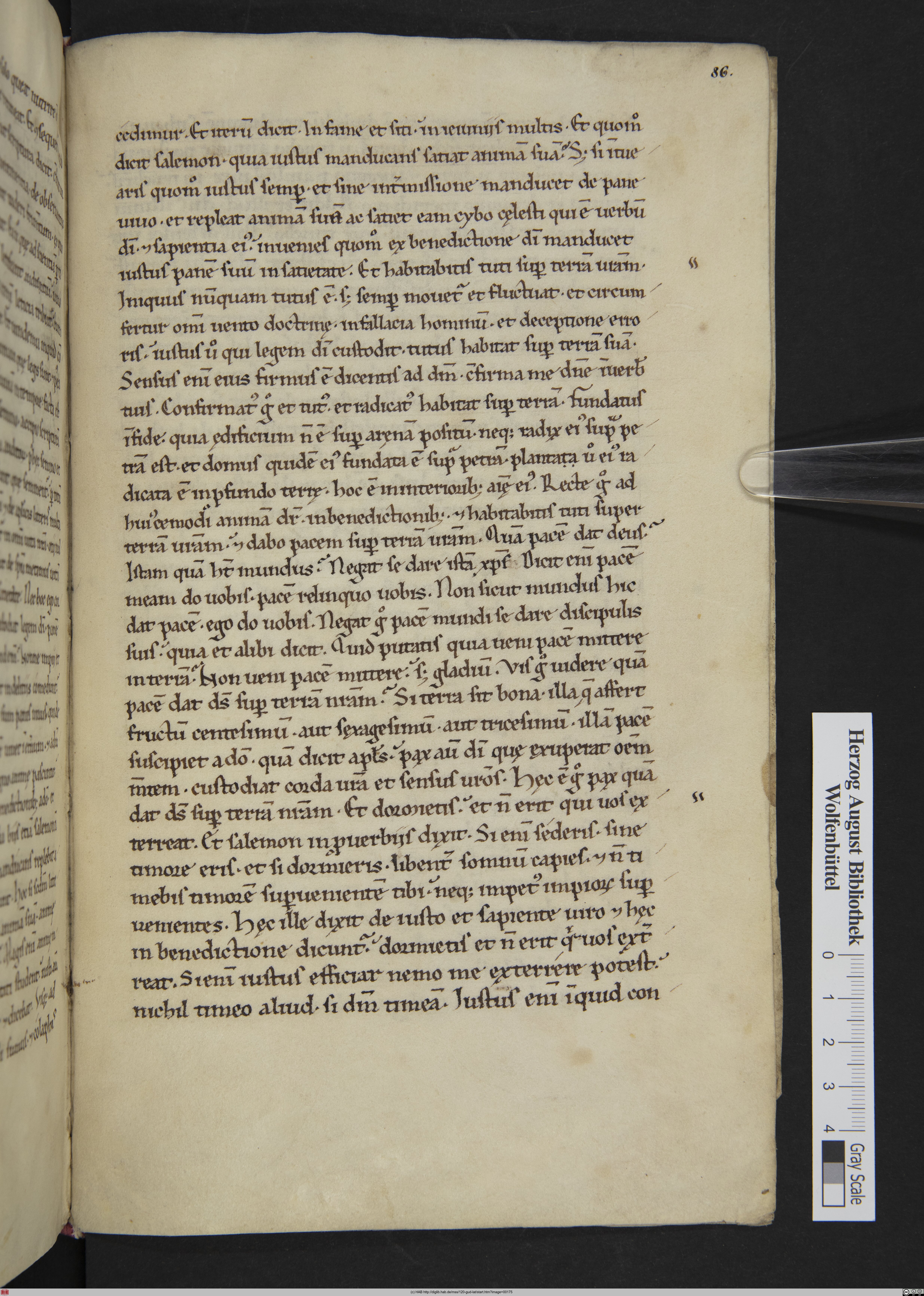 http://diglib.hab.de/mss/120-gud-lat/max/00175.jpg