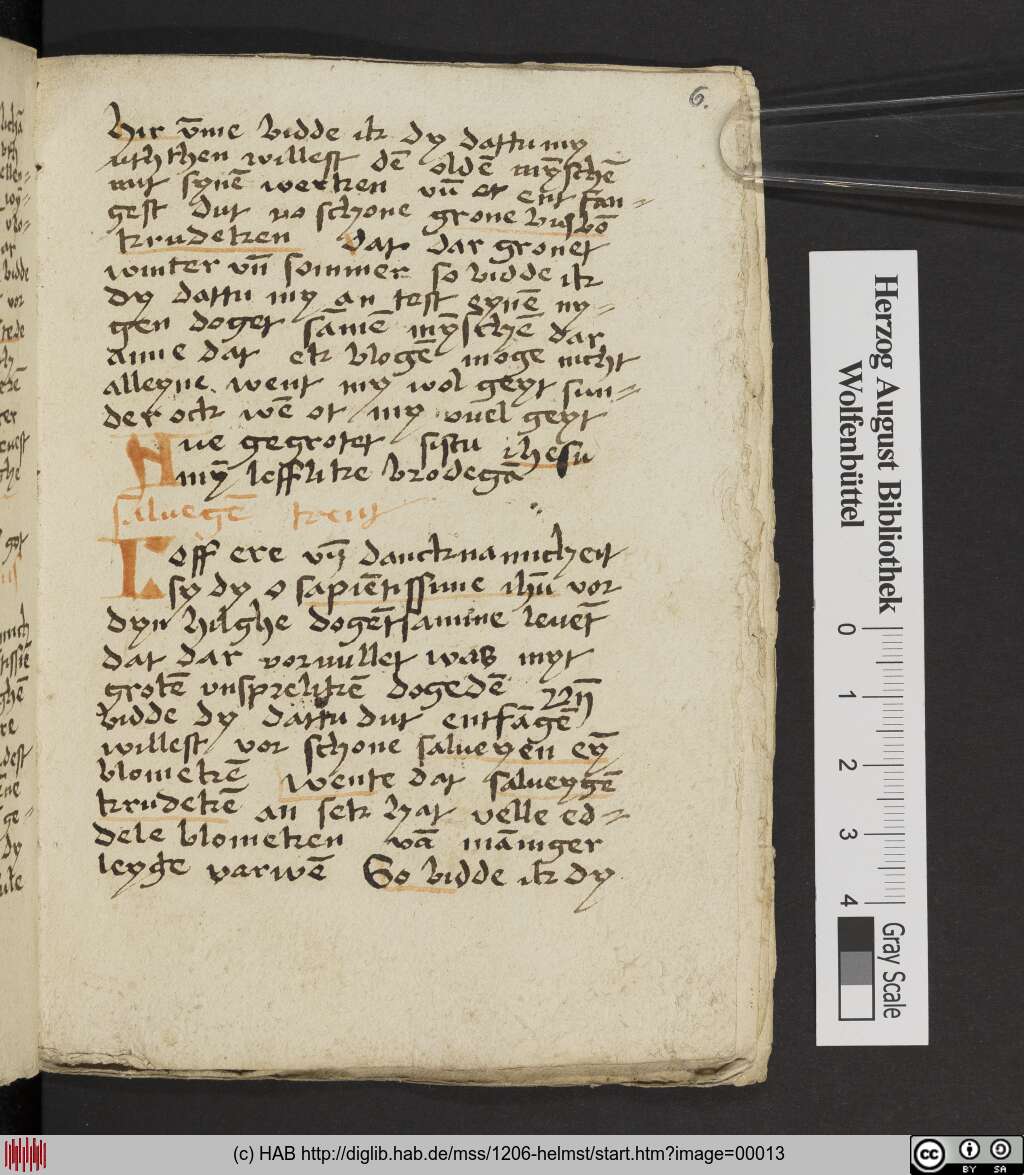 http://diglib.hab.de/mss/1206-helmst/00013.jpg