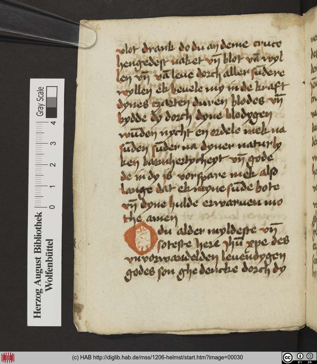 http://diglib.hab.de/mss/1206-helmst/00030.jpg