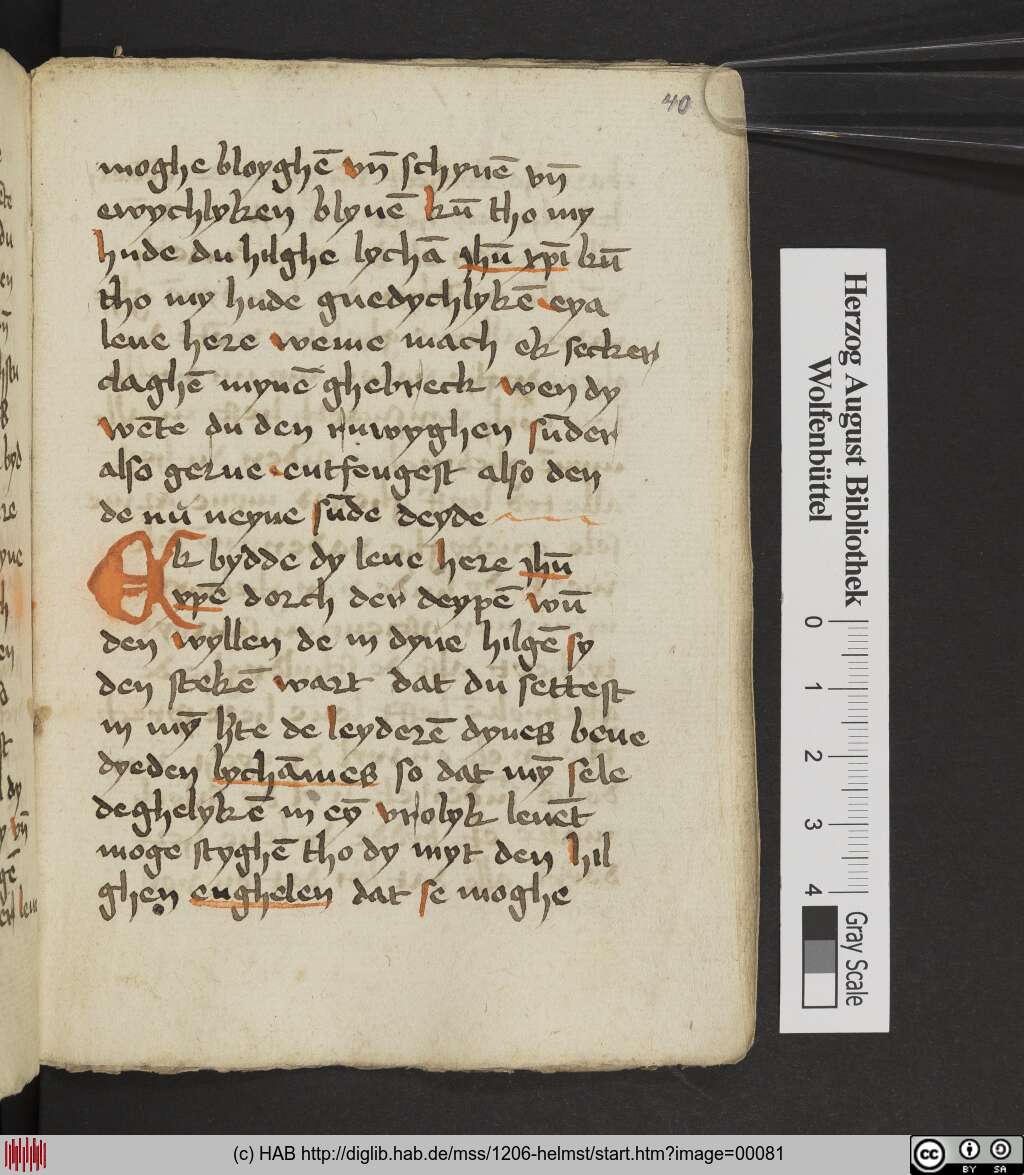 http://diglib.hab.de/mss/1206-helmst/00081.jpg