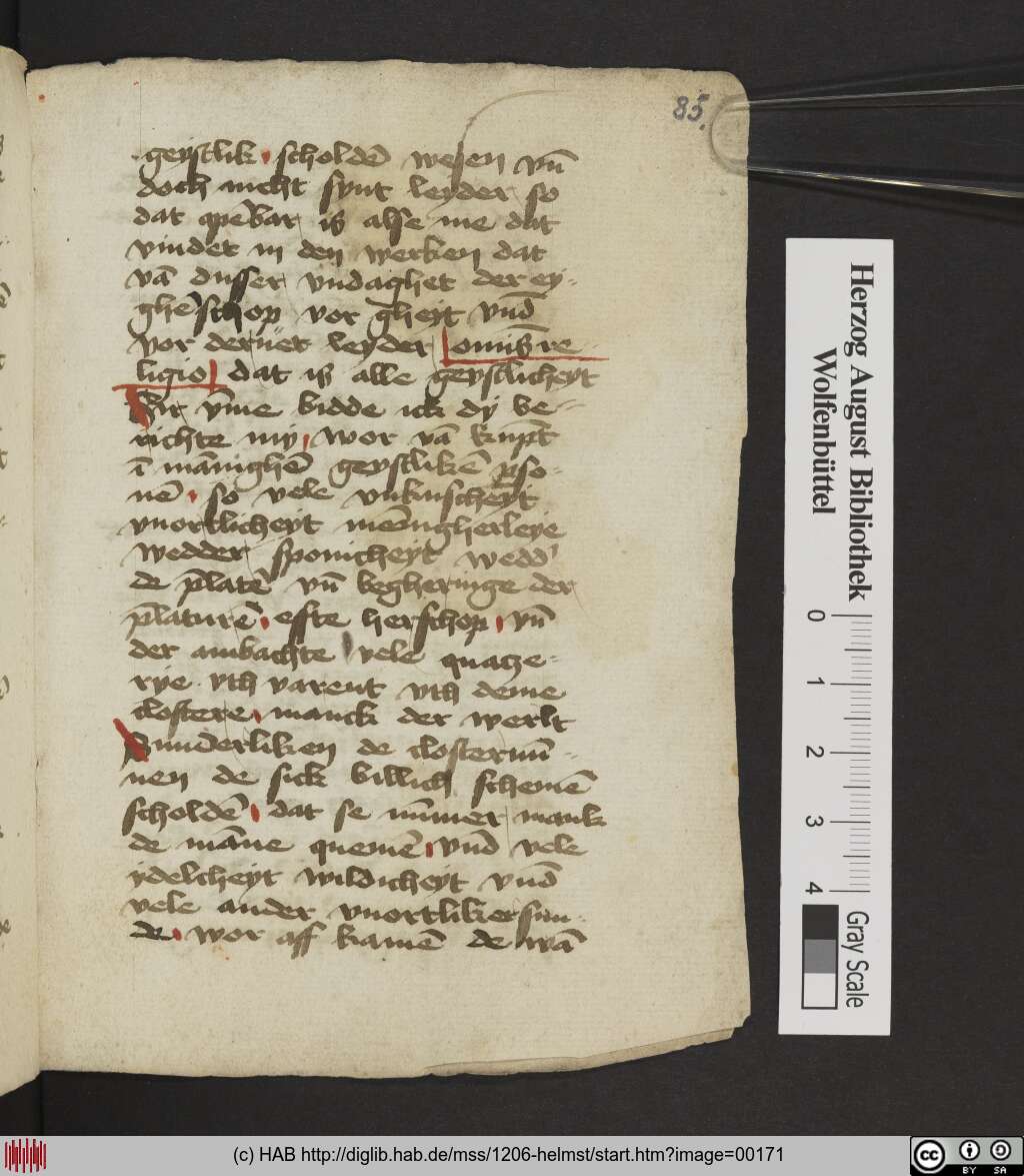 http://diglib.hab.de/mss/1206-helmst/00171.jpg