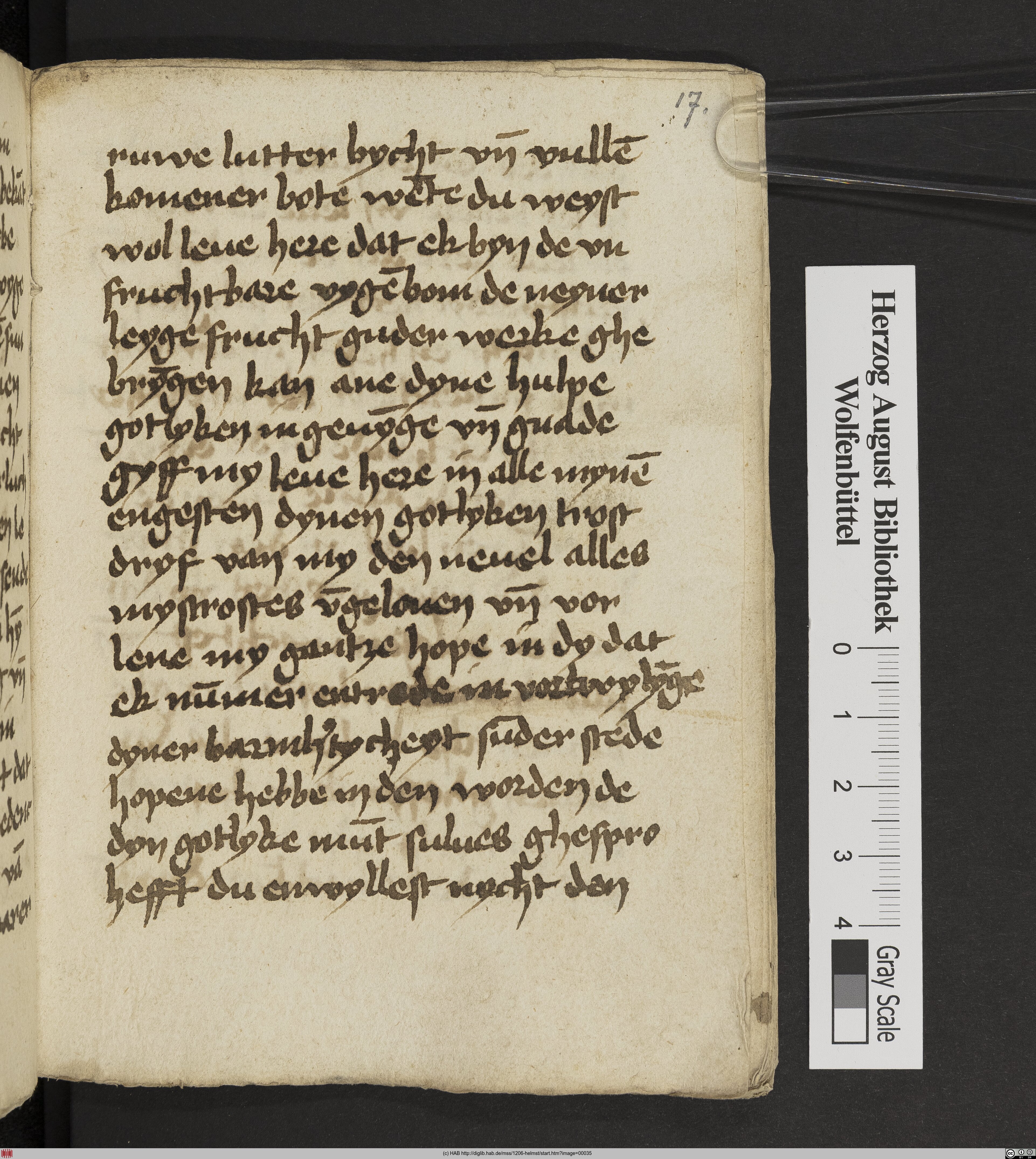 http://diglib.hab.de/mss/1206-helmst/max/00035.jpg