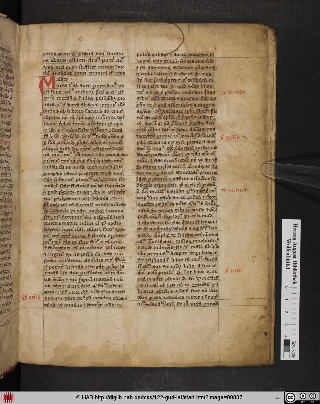 http://diglib.hab.de/mss/122-gud-lat/00007.jpg