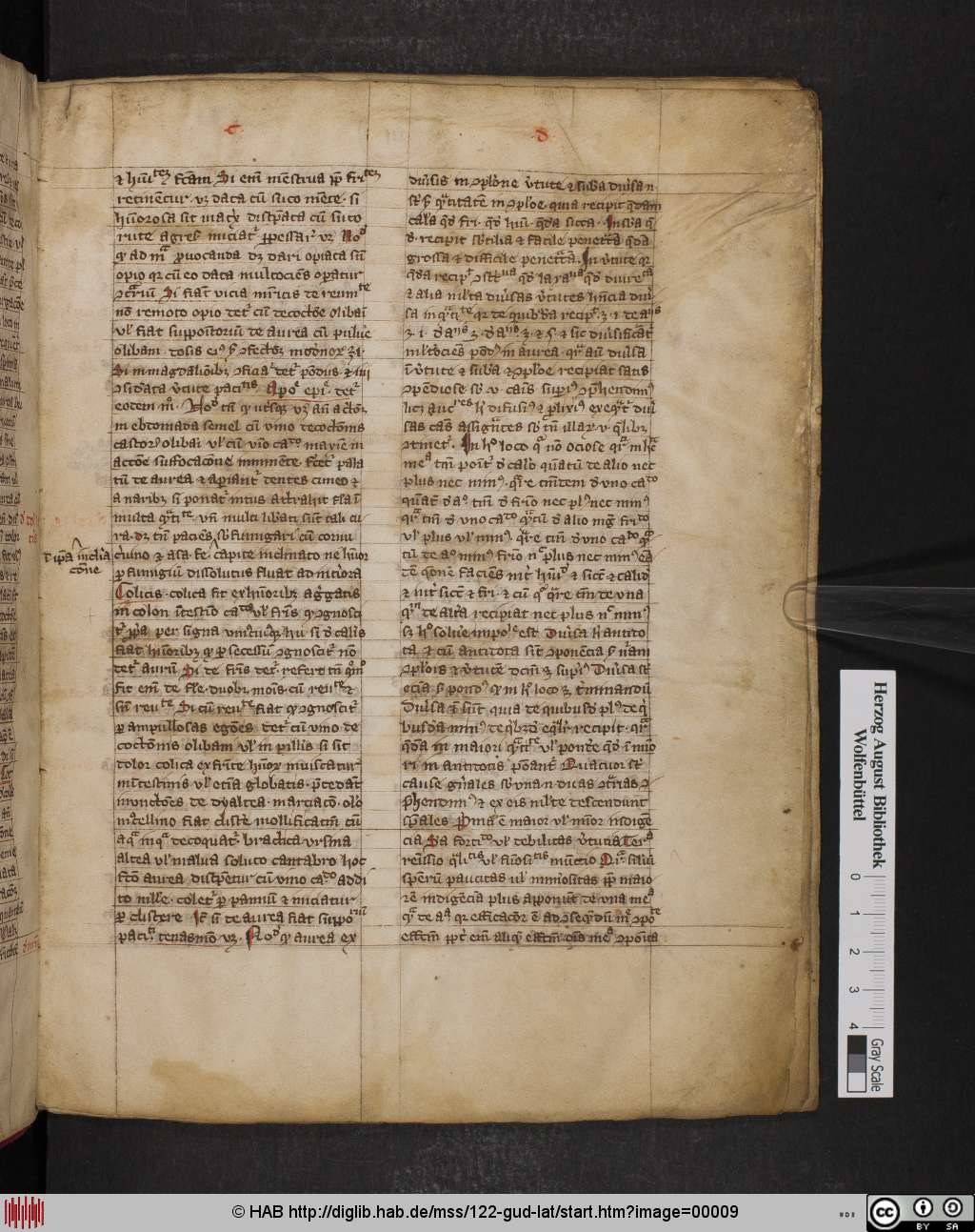 http://diglib.hab.de/mss/122-gud-lat/00009.jpg