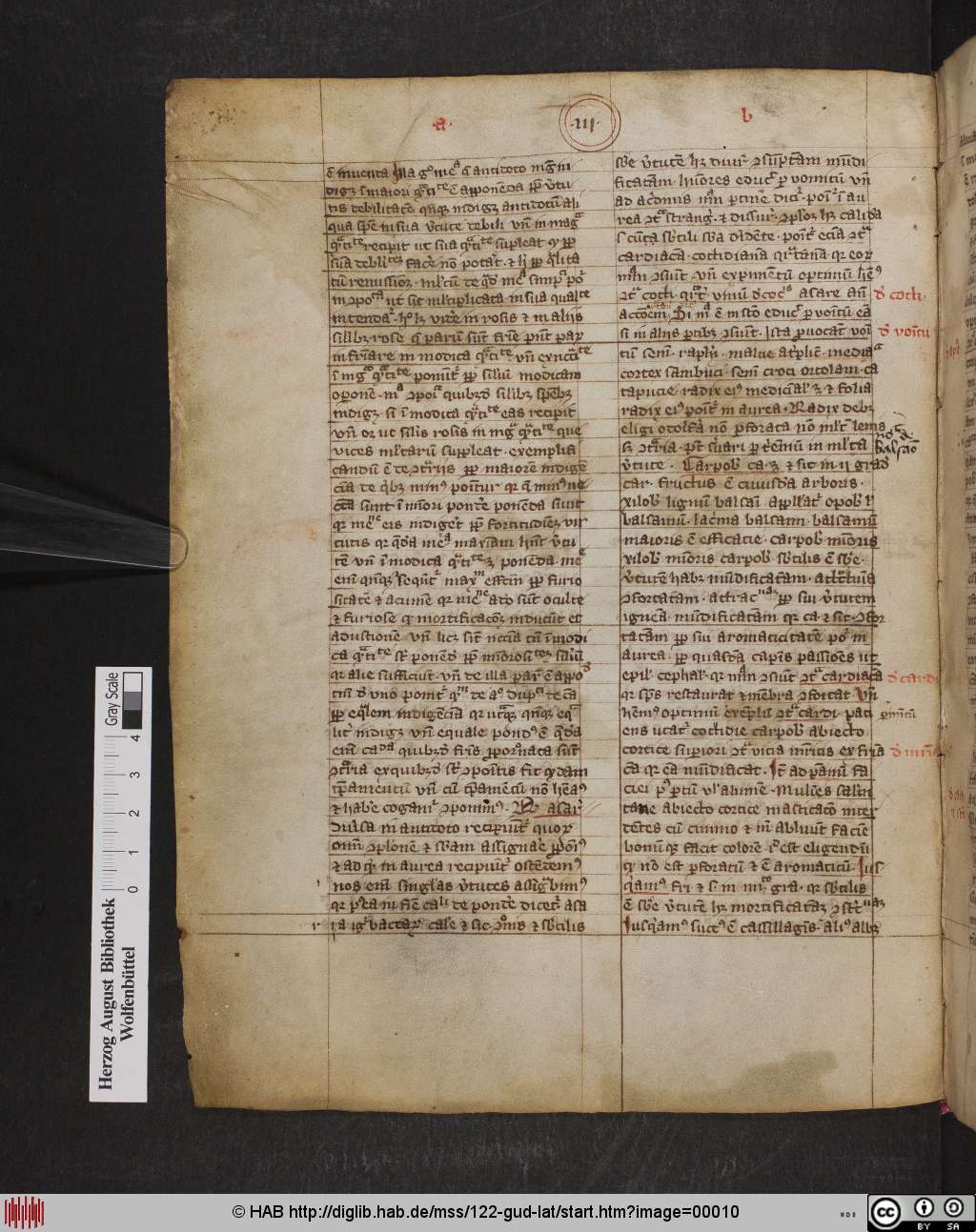 http://diglib.hab.de/mss/122-gud-lat/00010.jpg