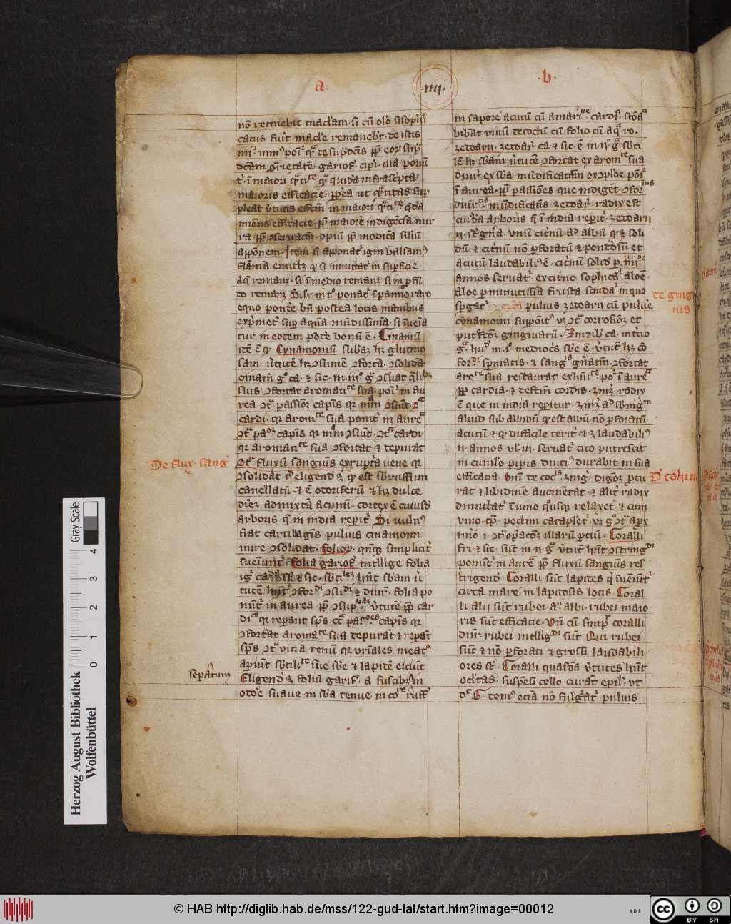 http://diglib.hab.de/mss/122-gud-lat/00012.jpg