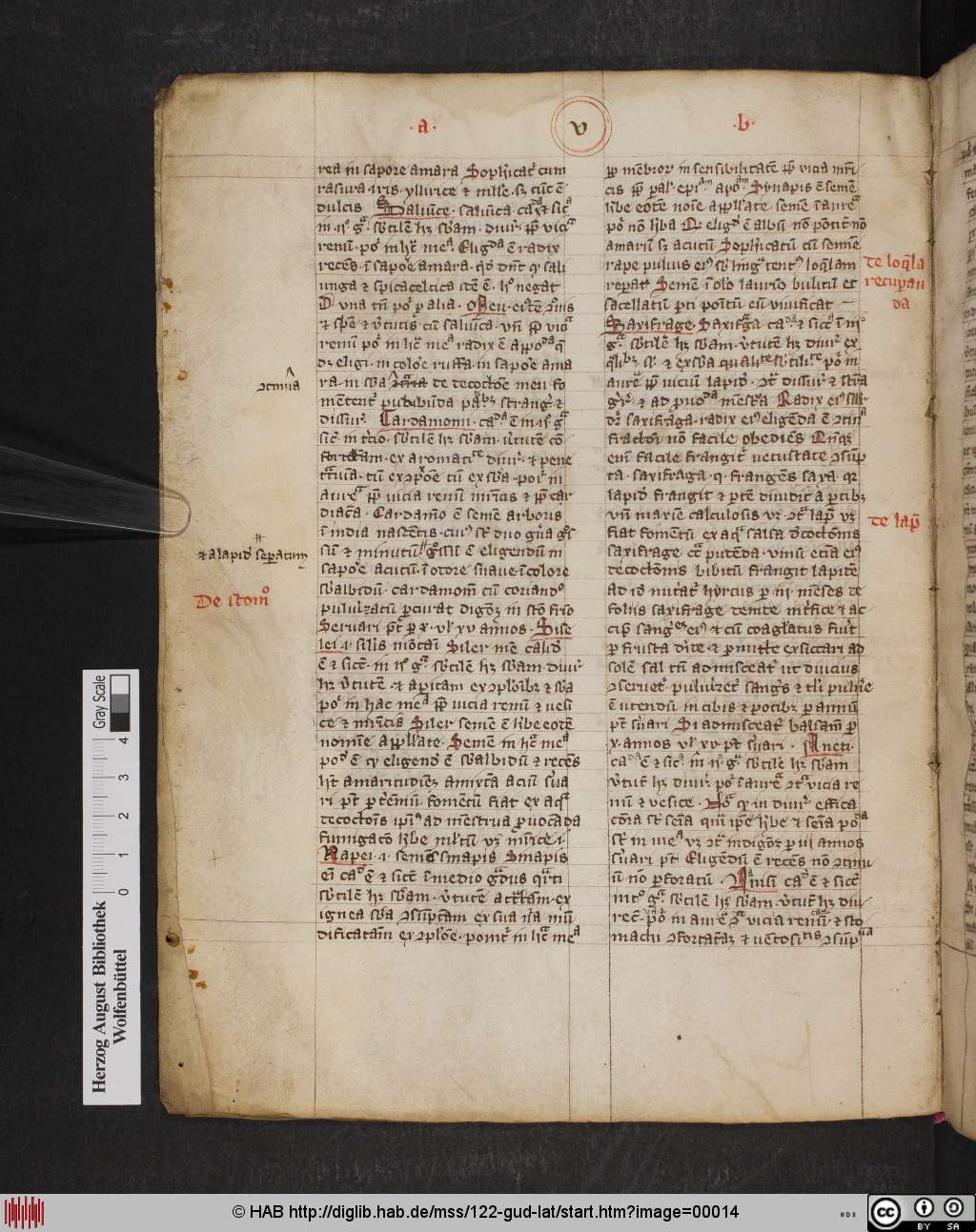 http://diglib.hab.de/mss/122-gud-lat/00014.jpg