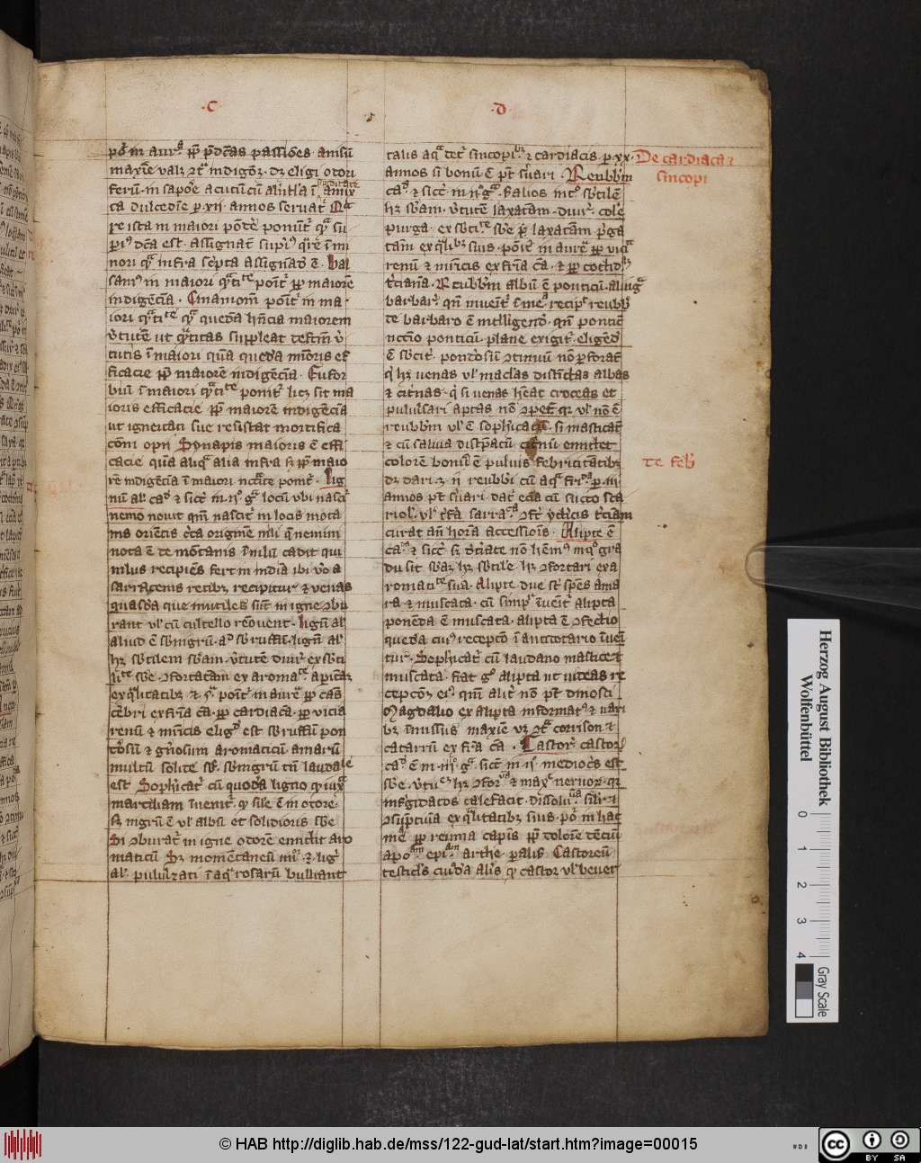 http://diglib.hab.de/mss/122-gud-lat/00015.jpg
