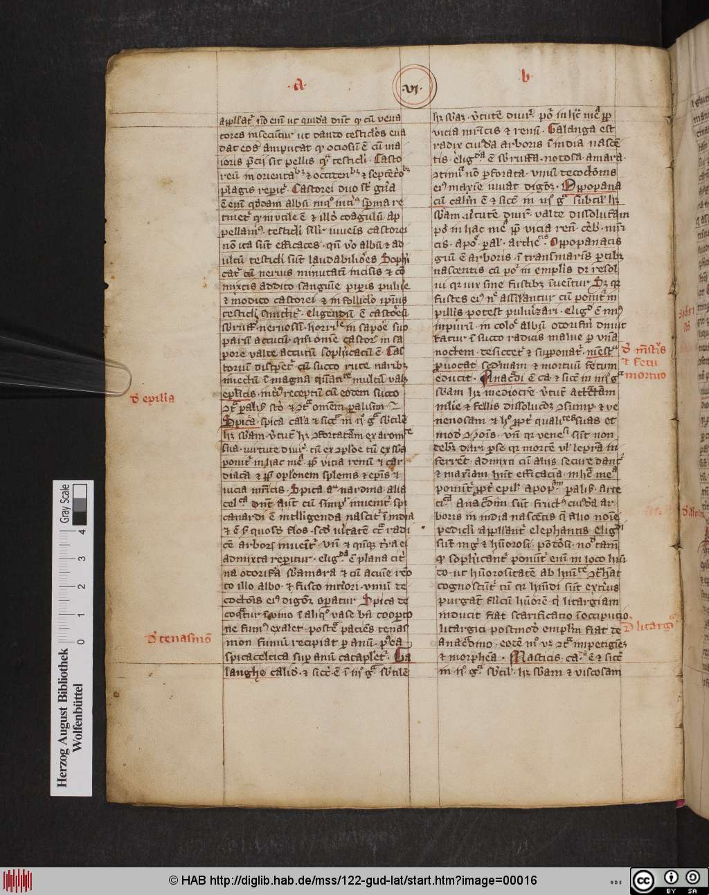 http://diglib.hab.de/mss/122-gud-lat/00016.jpg