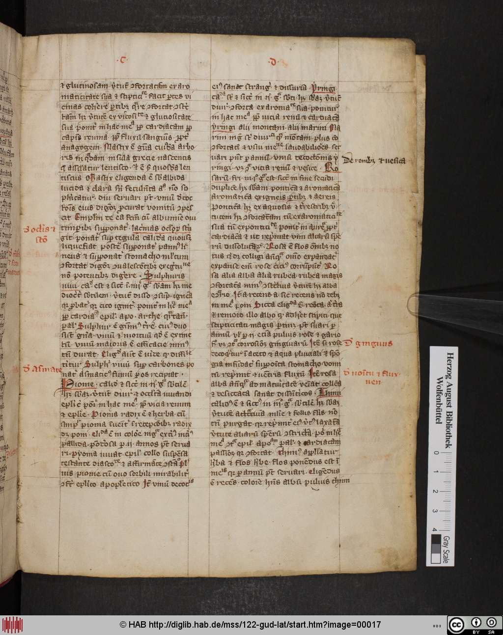 http://diglib.hab.de/mss/122-gud-lat/00017.jpg