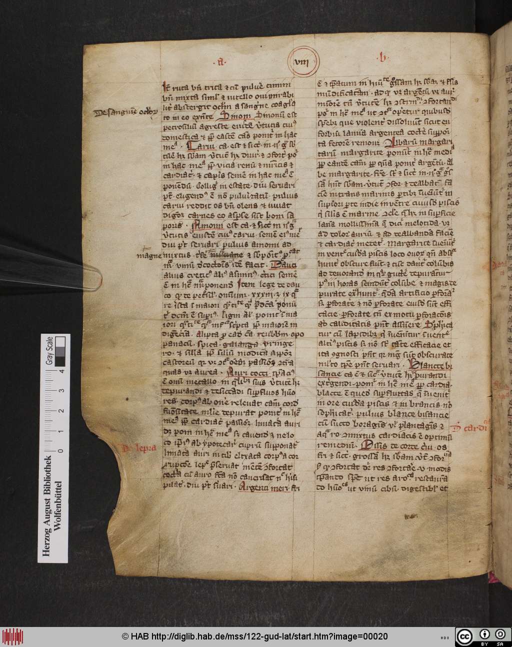 http://diglib.hab.de/mss/122-gud-lat/00020.jpg