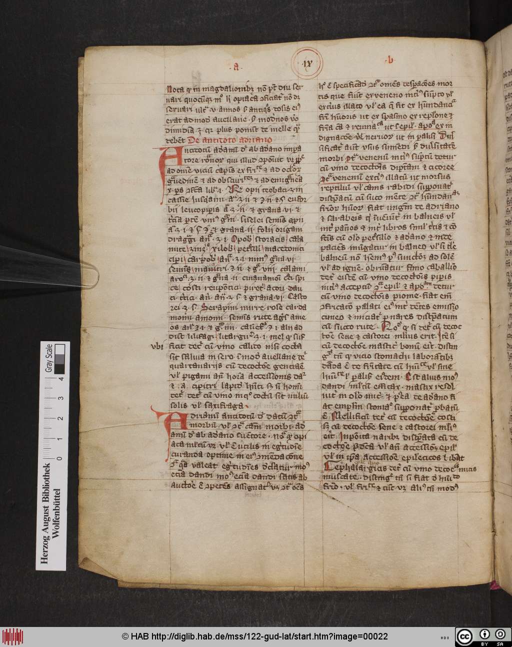 http://diglib.hab.de/mss/122-gud-lat/00022.jpg