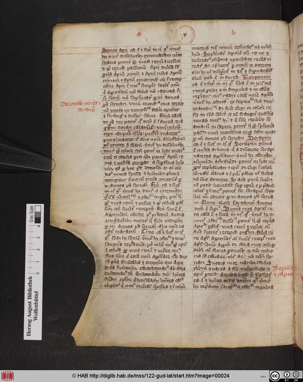 http://diglib.hab.de/mss/122-gud-lat/00024.jpg
