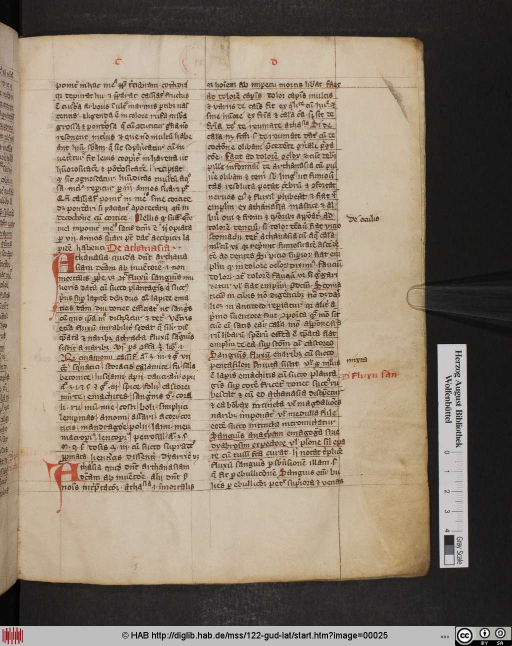 http://diglib.hab.de/mss/122-gud-lat/00025.jpg