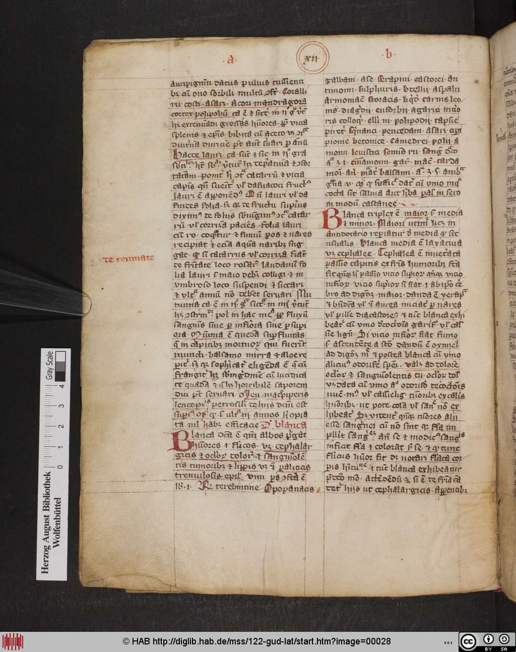 http://diglib.hab.de/mss/122-gud-lat/00028.jpg