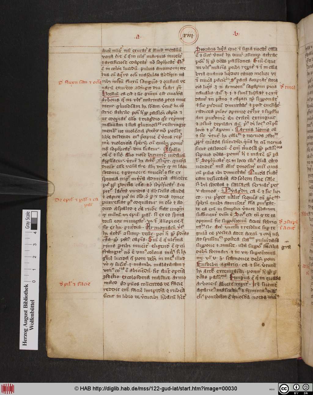 http://diglib.hab.de/mss/122-gud-lat/00030.jpg
