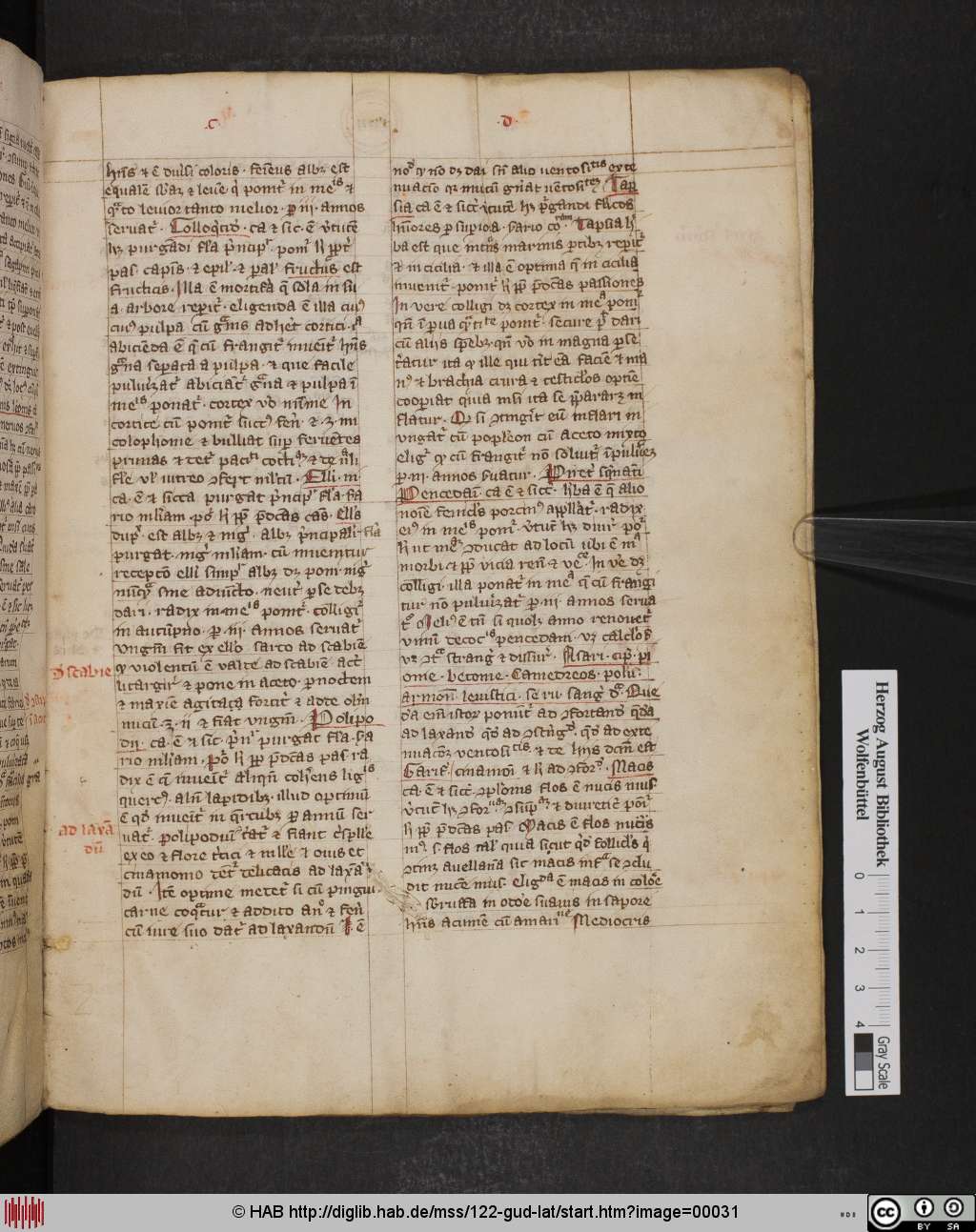 http://diglib.hab.de/mss/122-gud-lat/00031.jpg