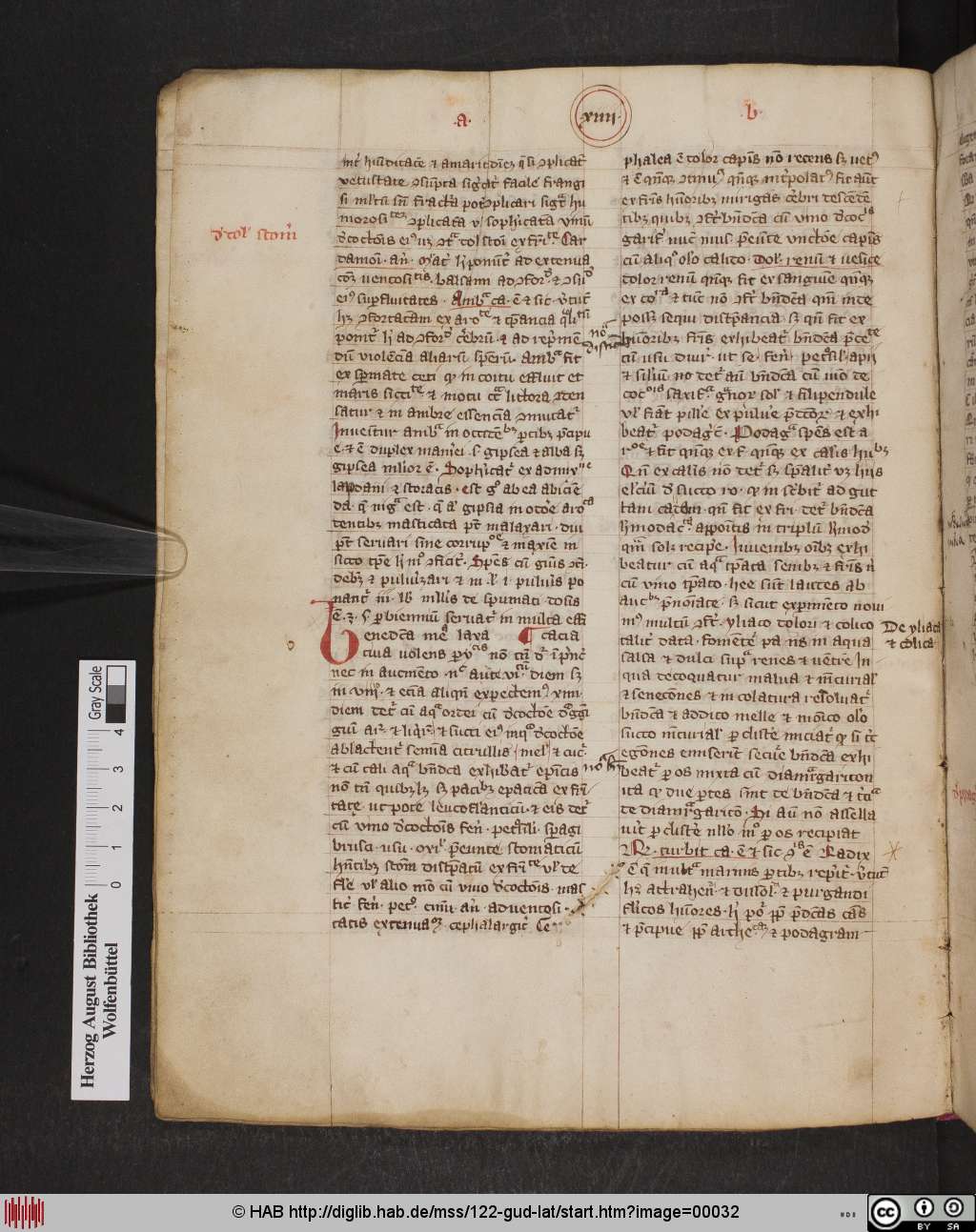http://diglib.hab.de/mss/122-gud-lat/00032.jpg
