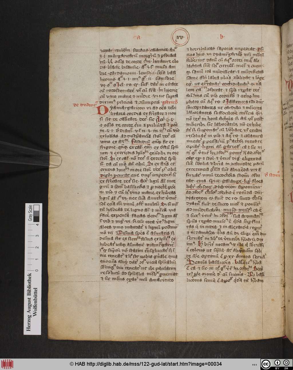 http://diglib.hab.de/mss/122-gud-lat/00034.jpg