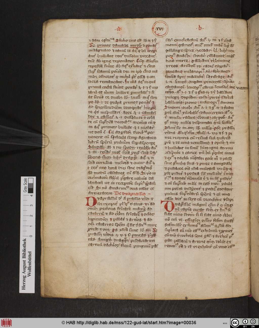 http://diglib.hab.de/mss/122-gud-lat/00036.jpg