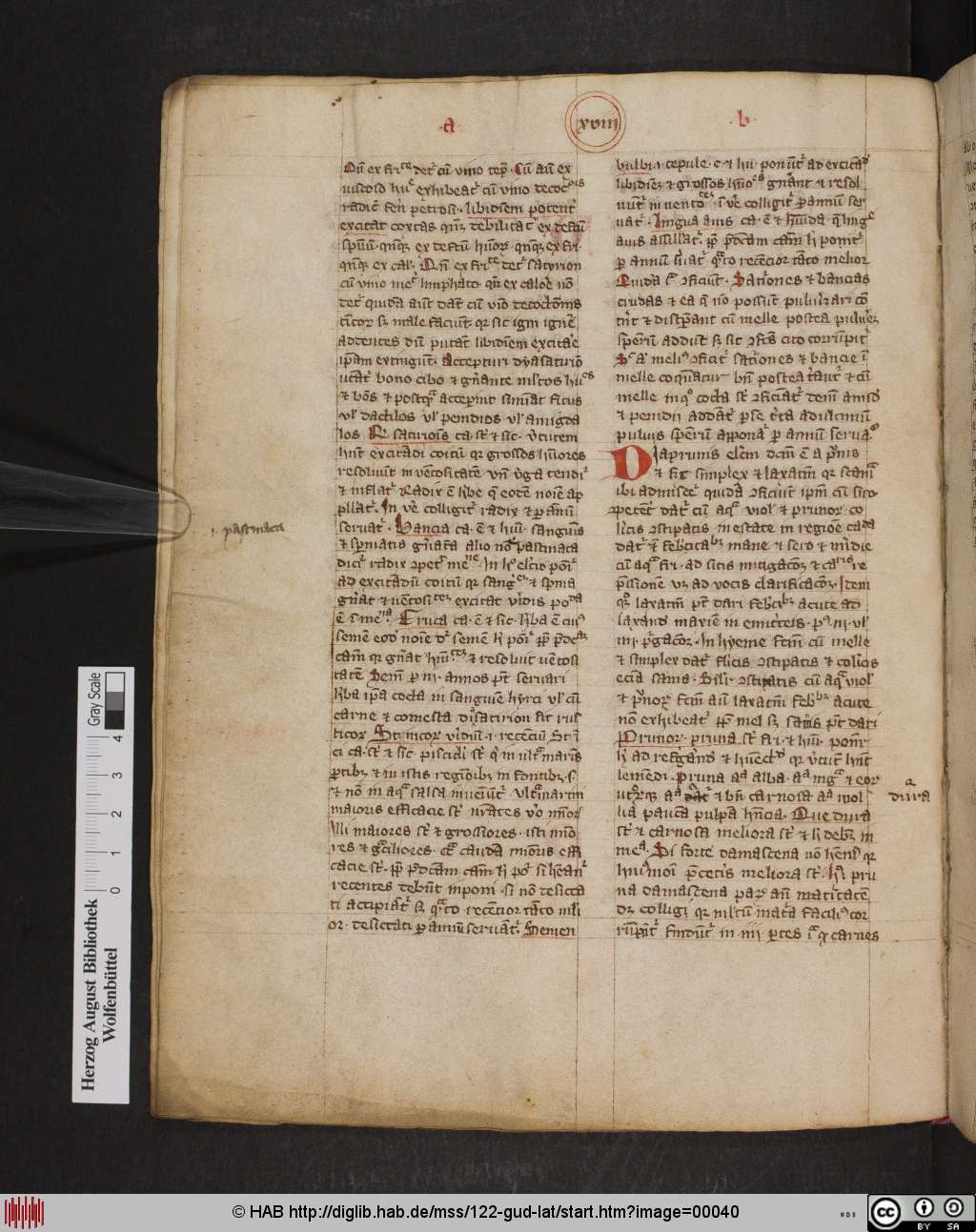 http://diglib.hab.de/mss/122-gud-lat/00040.jpg