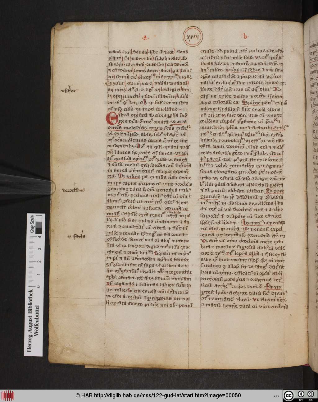 http://diglib.hab.de/mss/122-gud-lat/00050.jpg