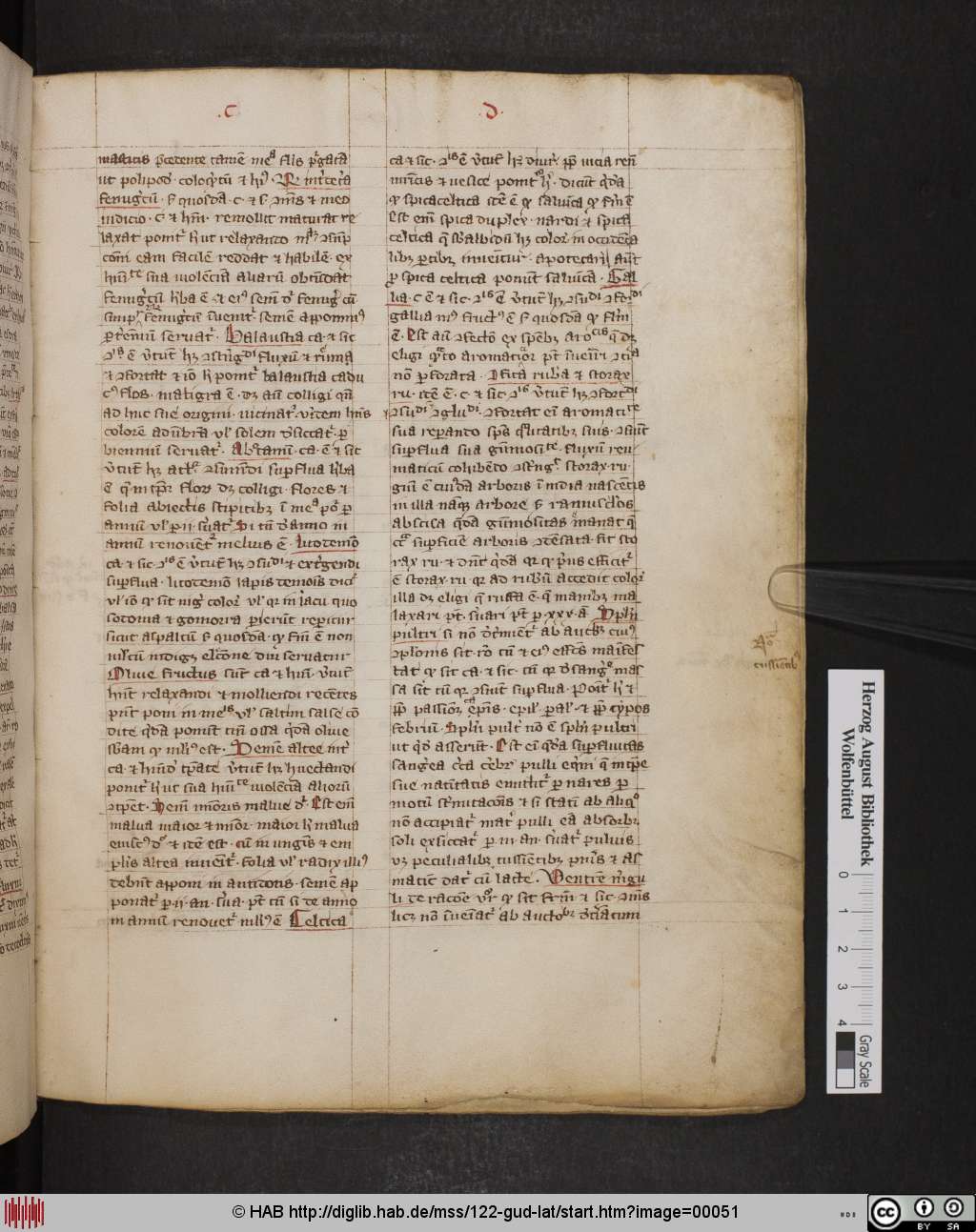 http://diglib.hab.de/mss/122-gud-lat/00051.jpg