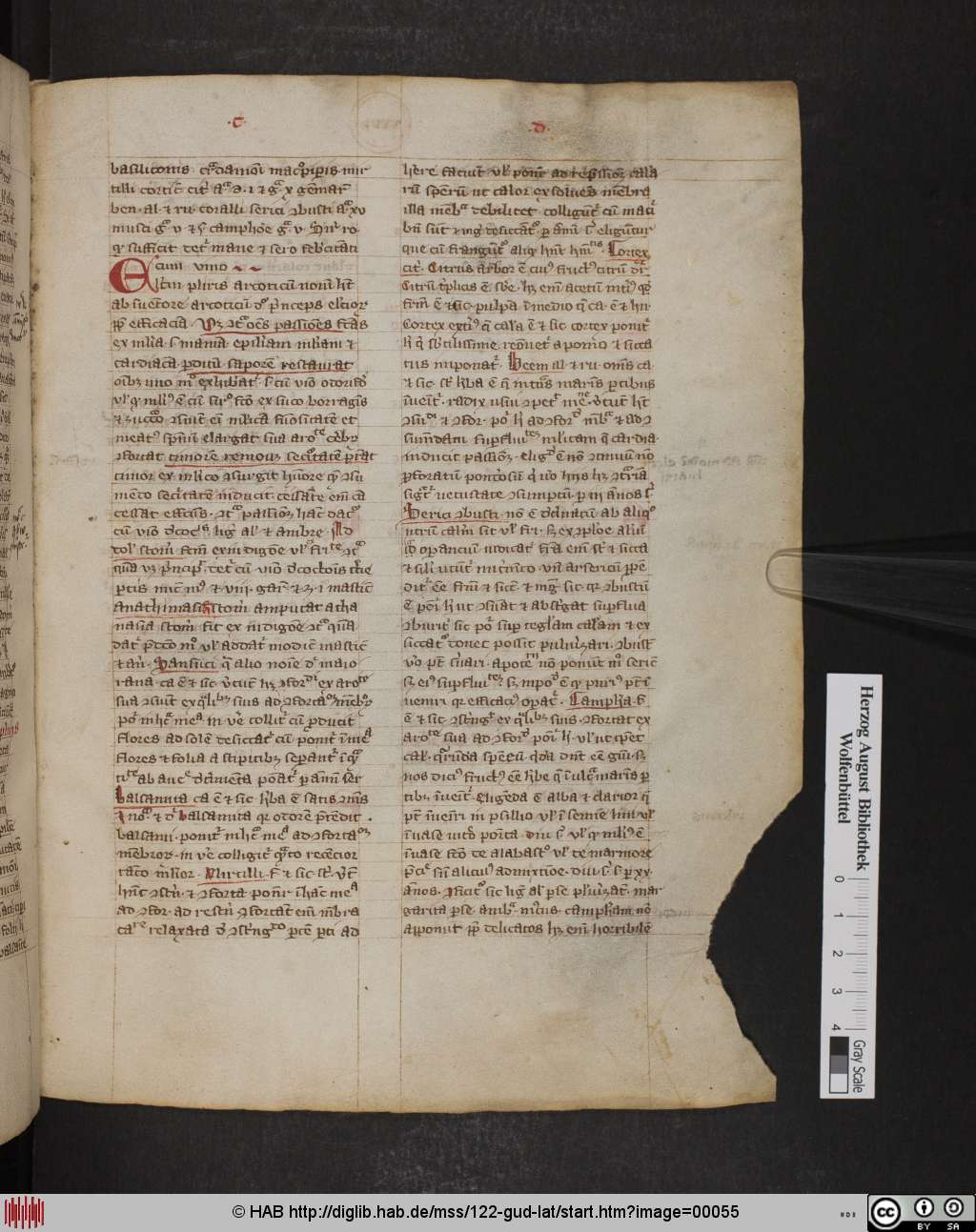 http://diglib.hab.de/mss/122-gud-lat/00055.jpg