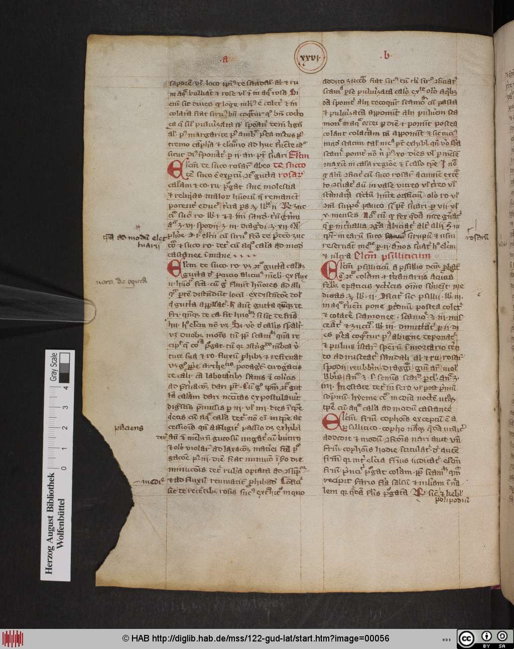http://diglib.hab.de/mss/122-gud-lat/00056.jpg