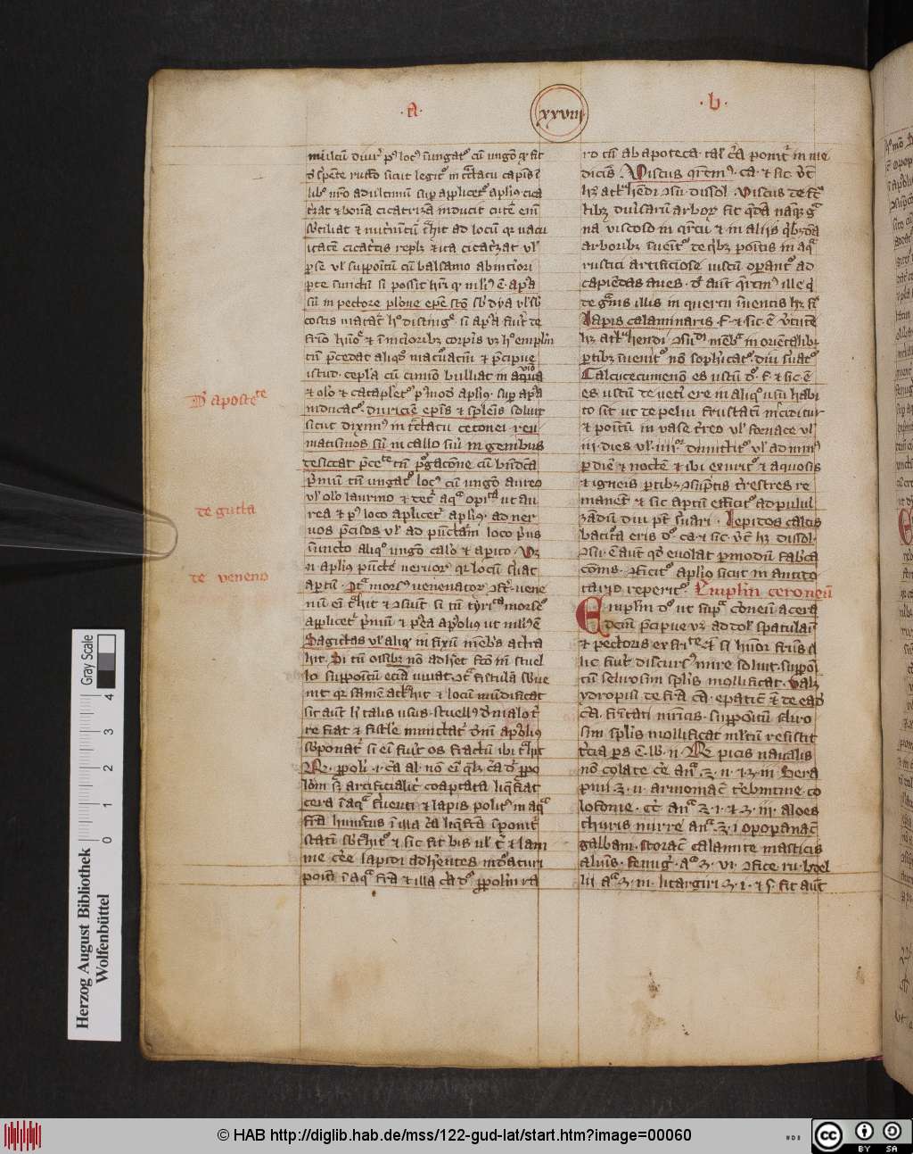 http://diglib.hab.de/mss/122-gud-lat/00060.jpg