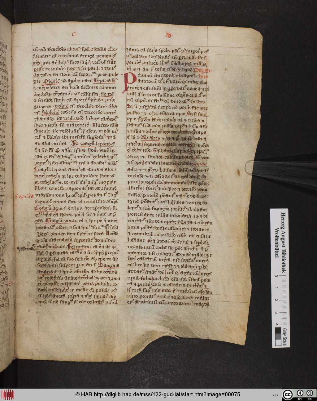 http://diglib.hab.de/mss/122-gud-lat/00075.jpg
