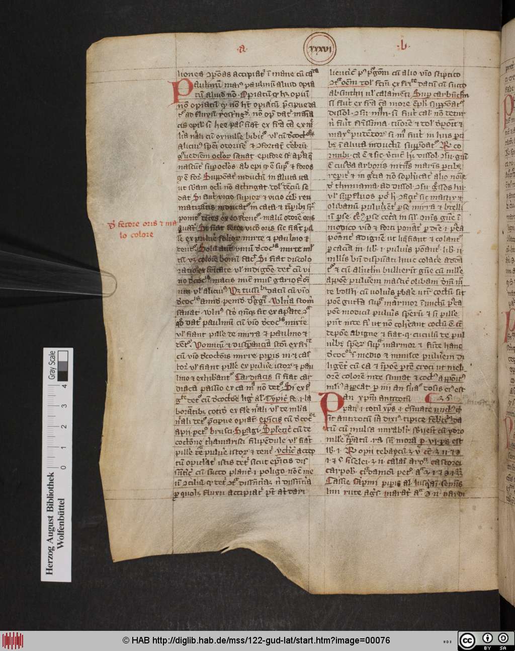 http://diglib.hab.de/mss/122-gud-lat/00076.jpg
